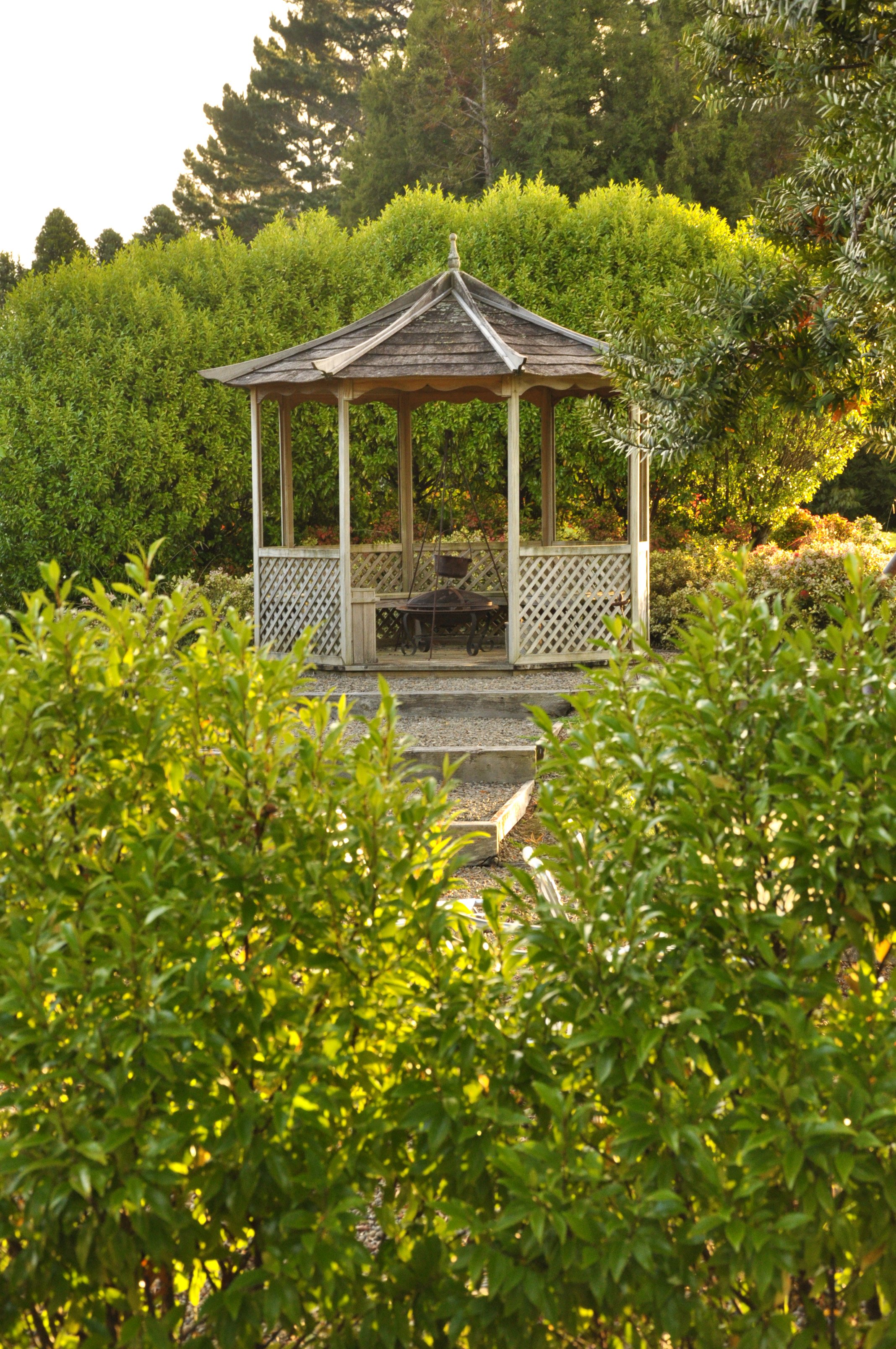 DSC_1689.jpg