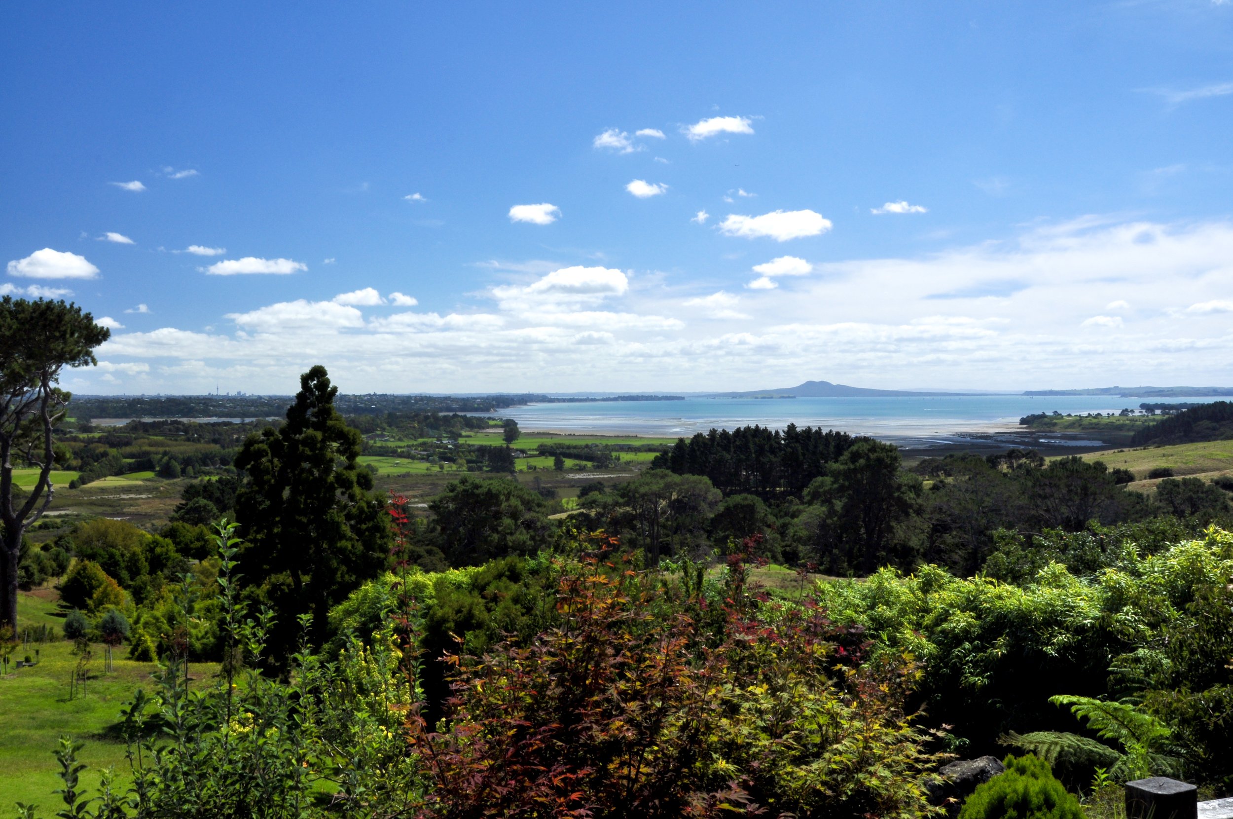 DSC_0016.jpg