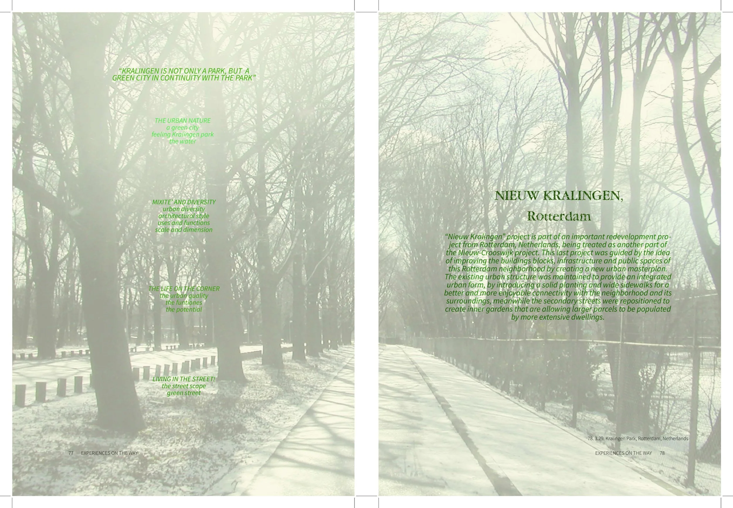 5228923d-4faa-4fd1-8fd2-d047d4efe13f-78-imageonline.co-merged.jpg