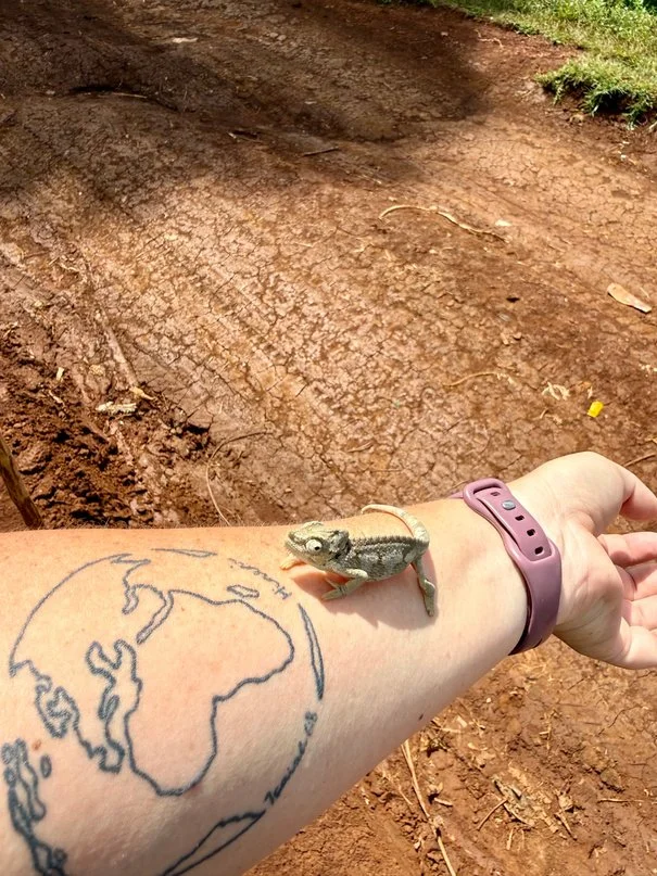 03-03.jpeg