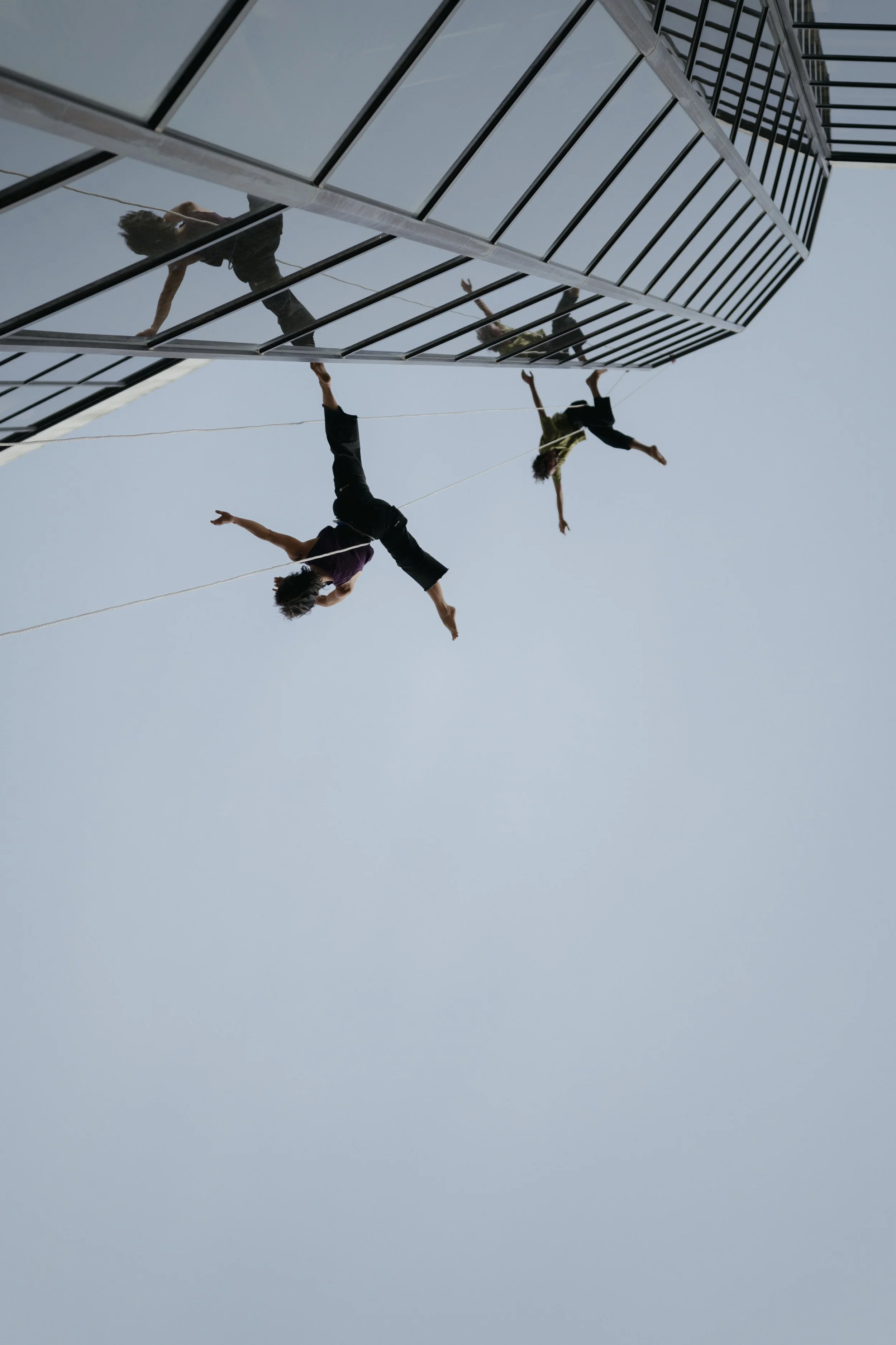 Vertical Dance