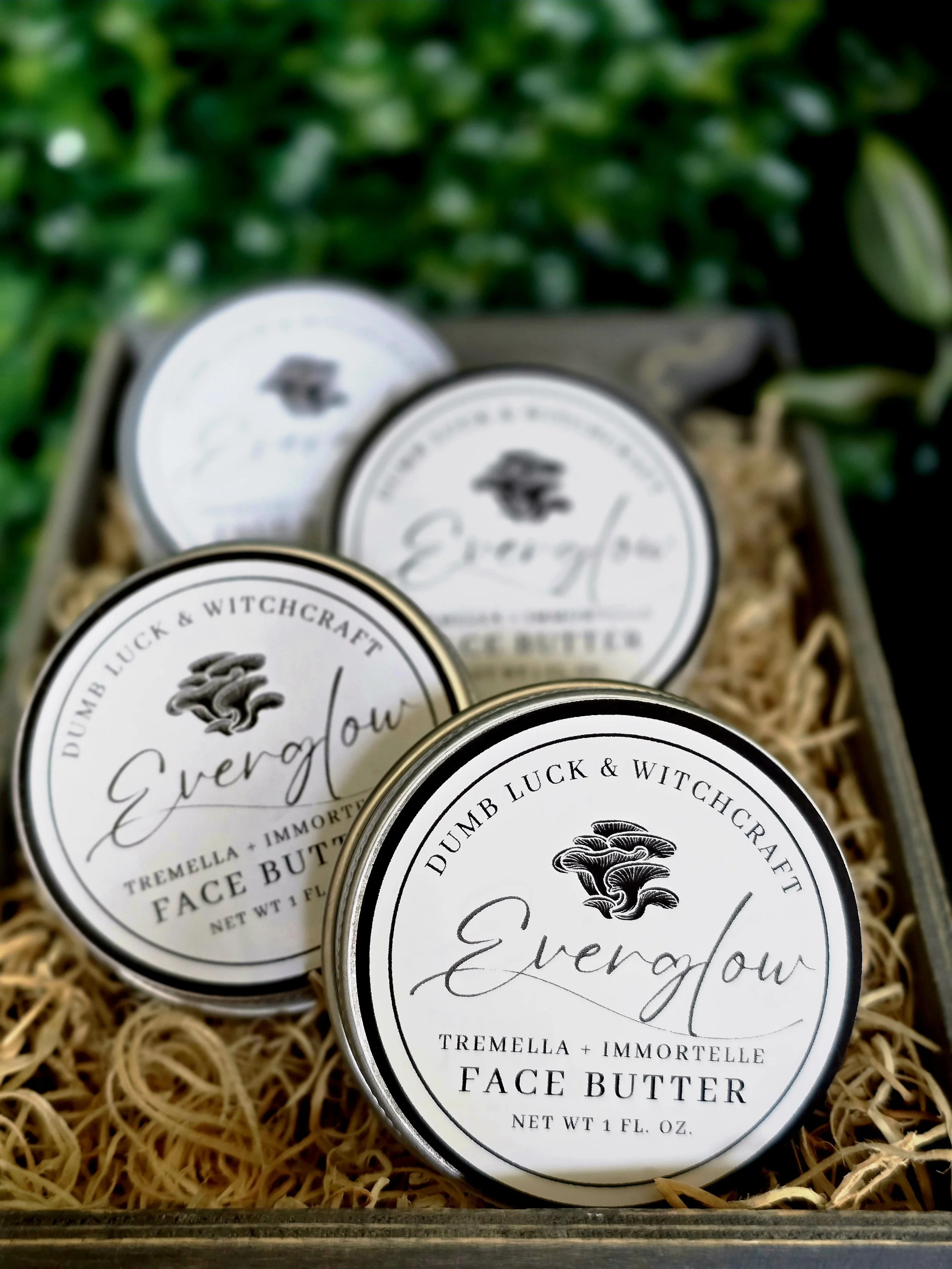 Everglow Face Butter - Mushroom-Infused Facial Cream - 1 oz. Tin