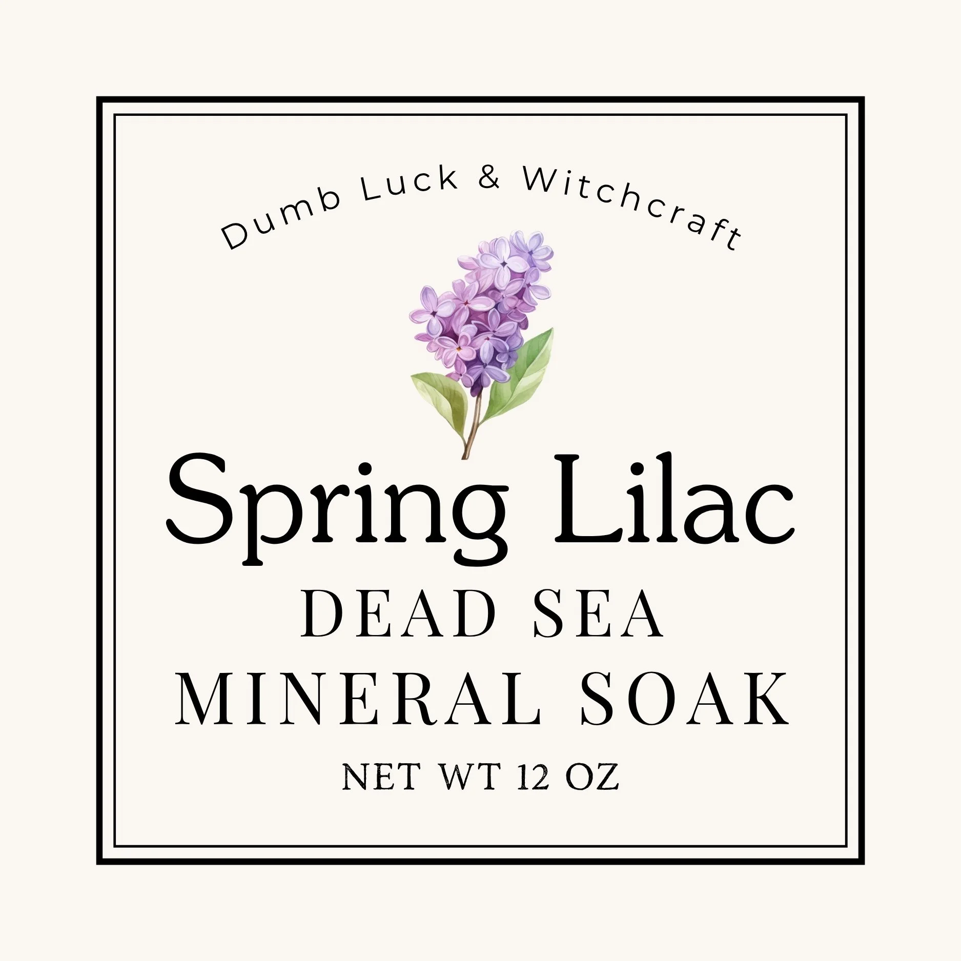 Thermae Dead Sea Mineral Soak - Practical Magic Fragrance - 12 oz Bag