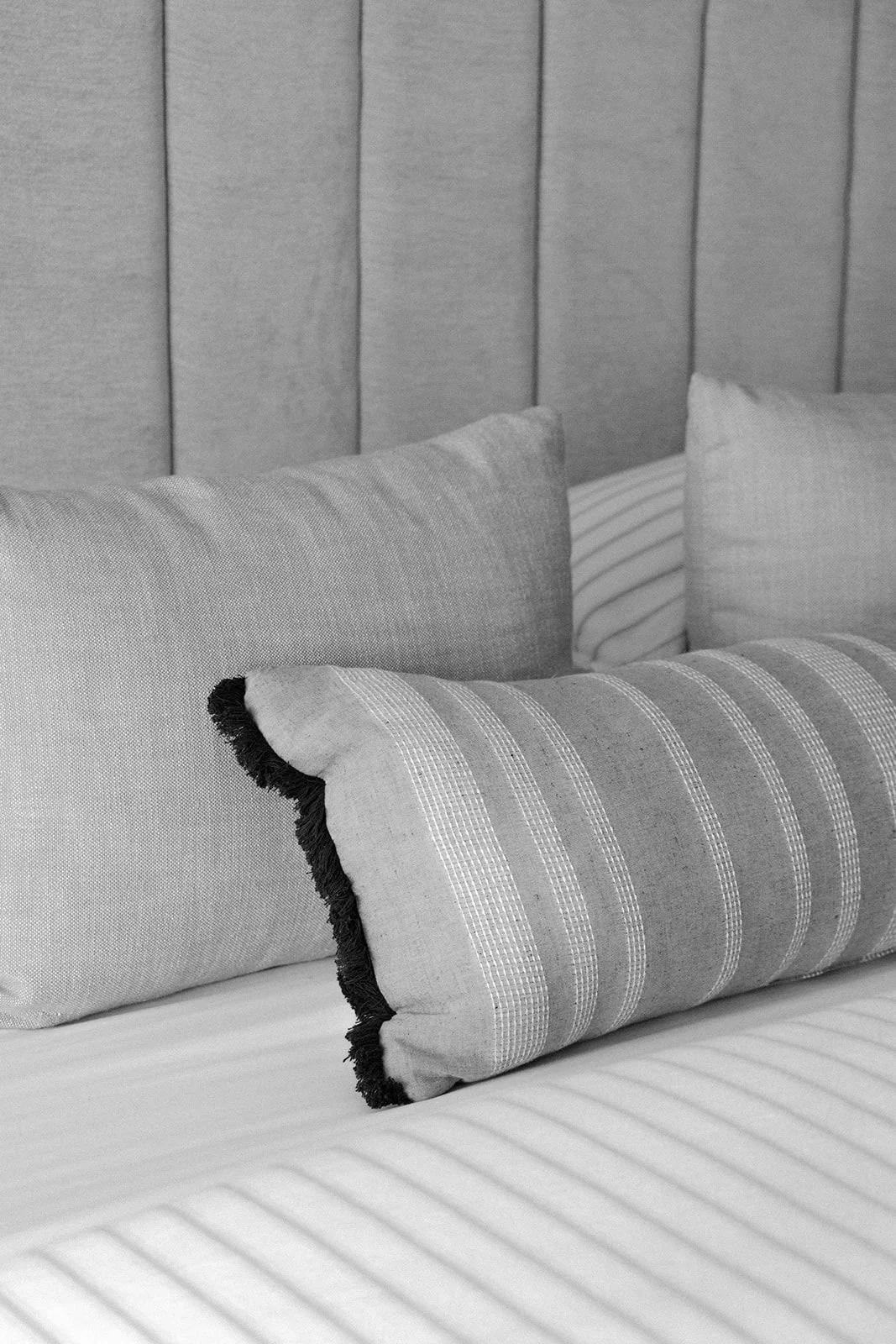 PHOTO-2023-02-07-11-23-44 2.jpg