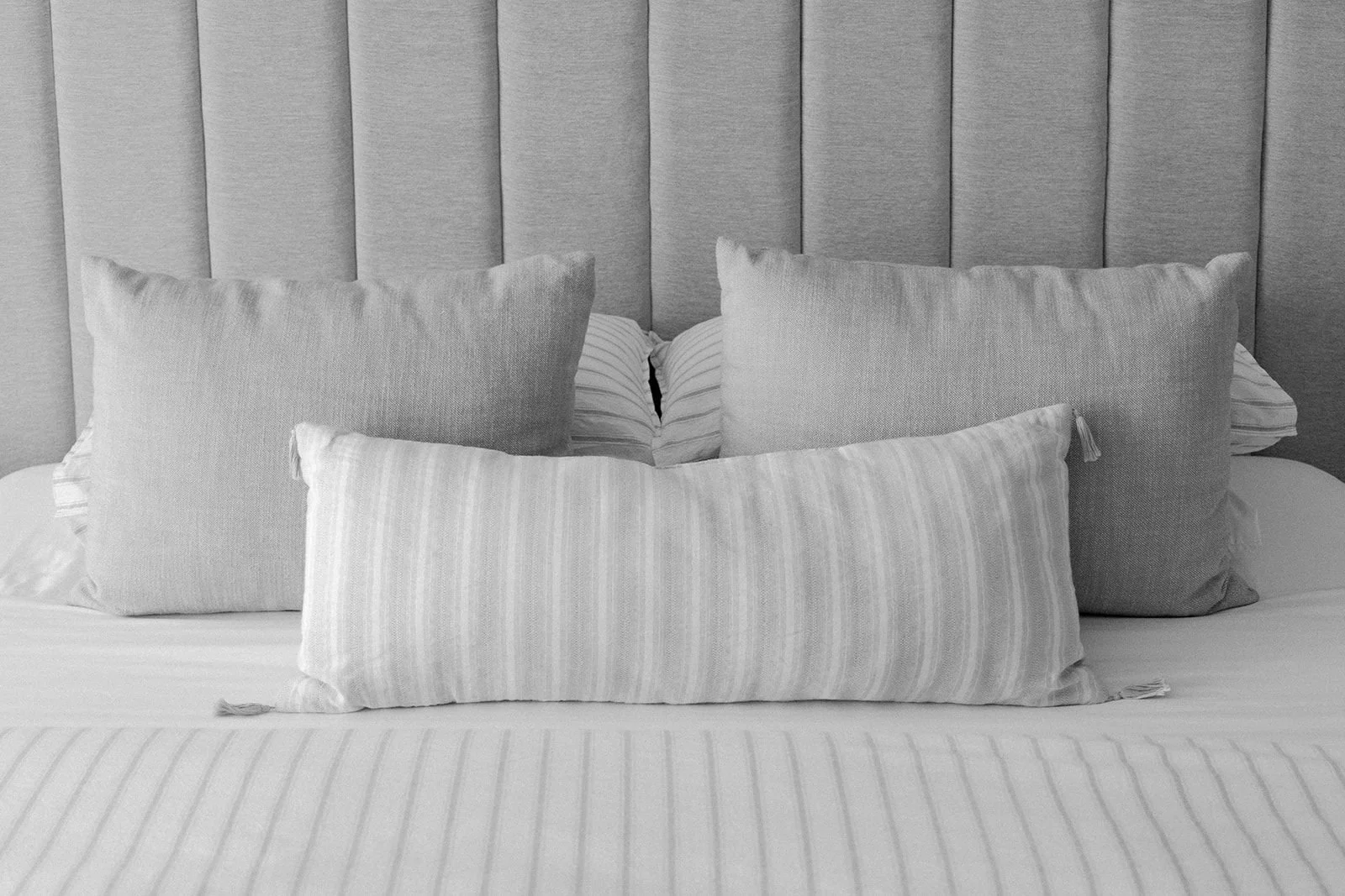 PHOTO-2023-02-07-11-24-18 2.jpg