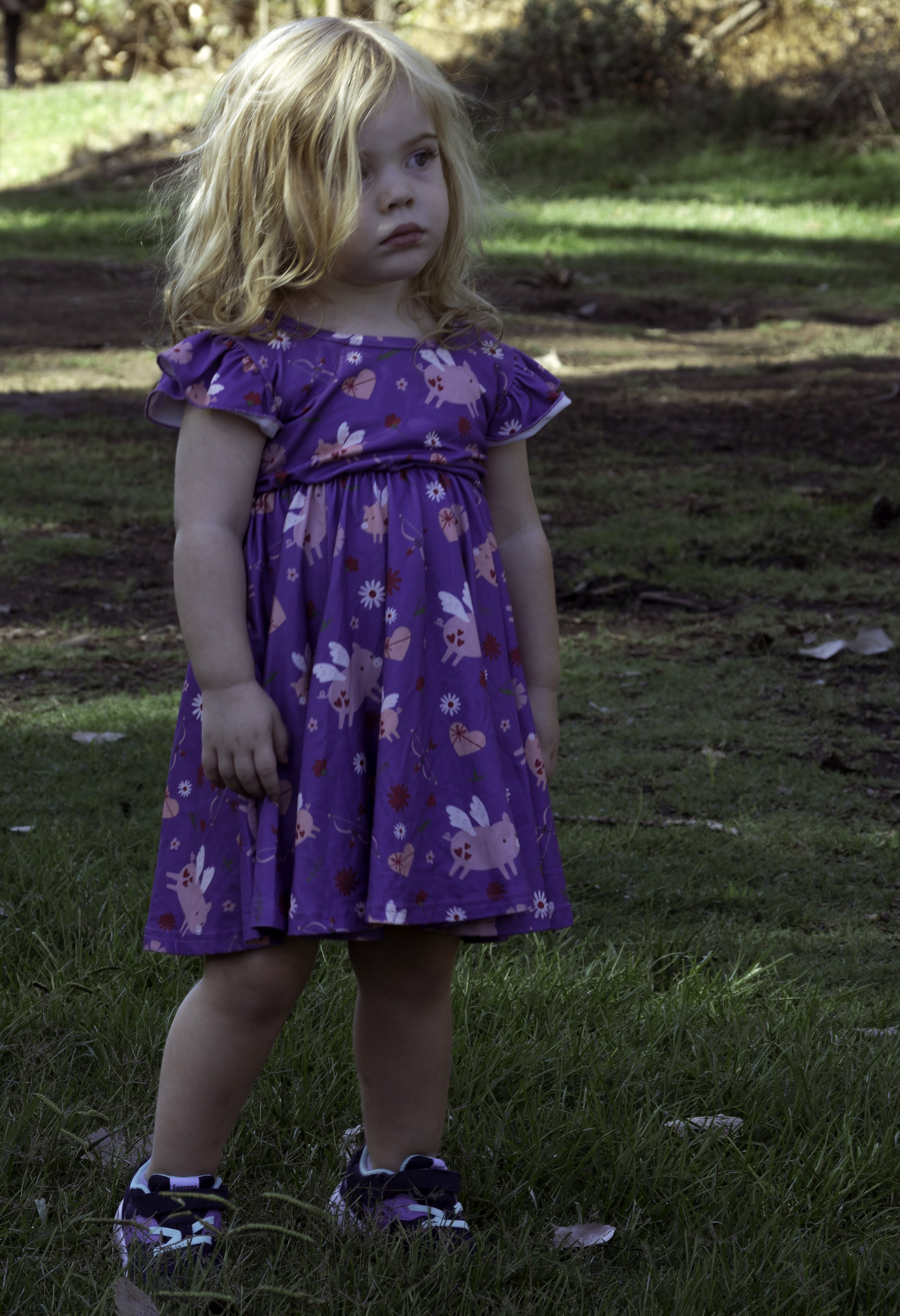 IMGP2583-Edit.jpg