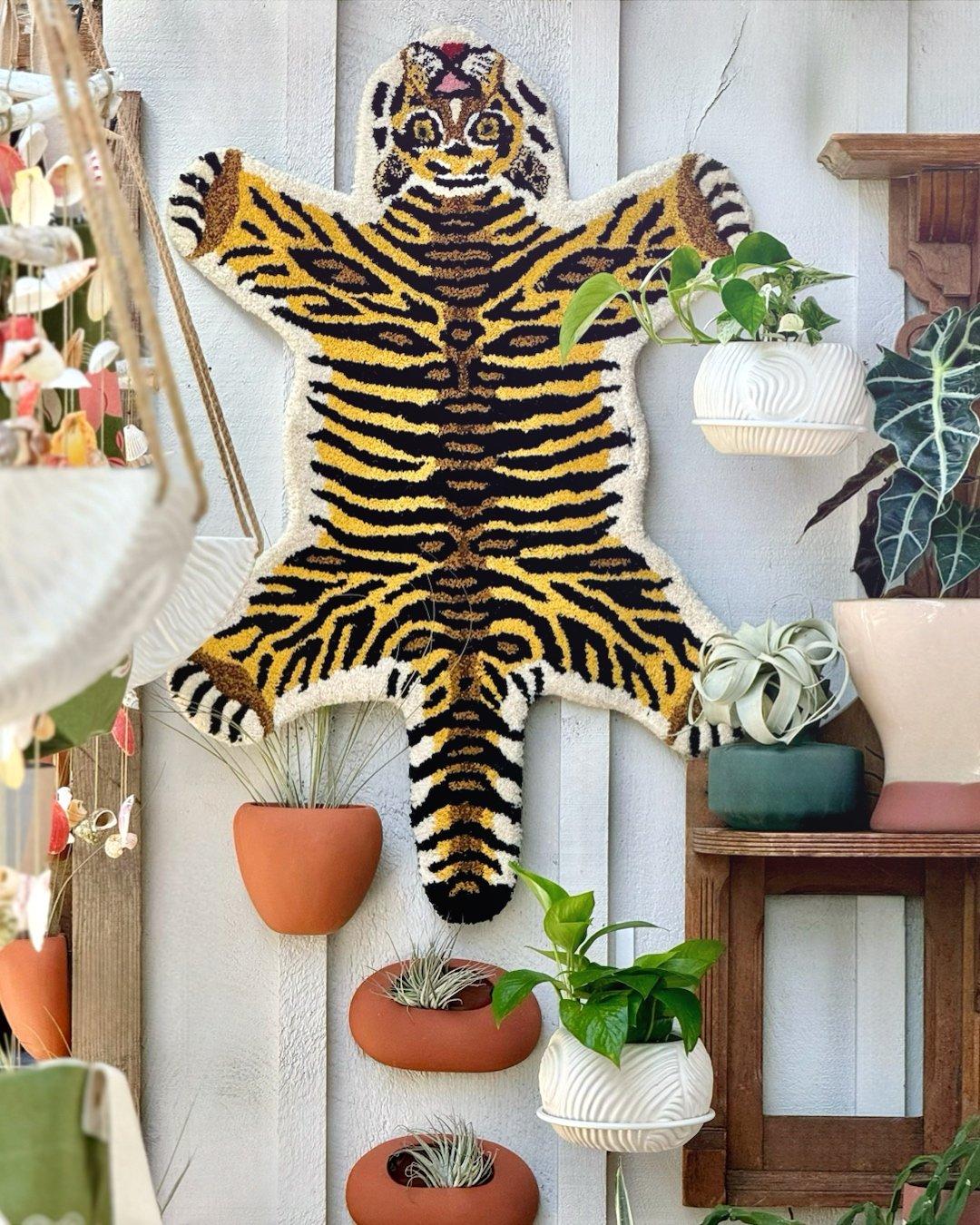 Sometimes...you just need to be a TIGER🐅.

Handmade wool tiger rug $99.99

 #plantsofinstagram #plants #plantsmakepeoplehappy #houseplants #urbanjungle #indoorplants #plantlover #tropical #houseplantclub #rareplants #plant #houseplantsofinstagram  #