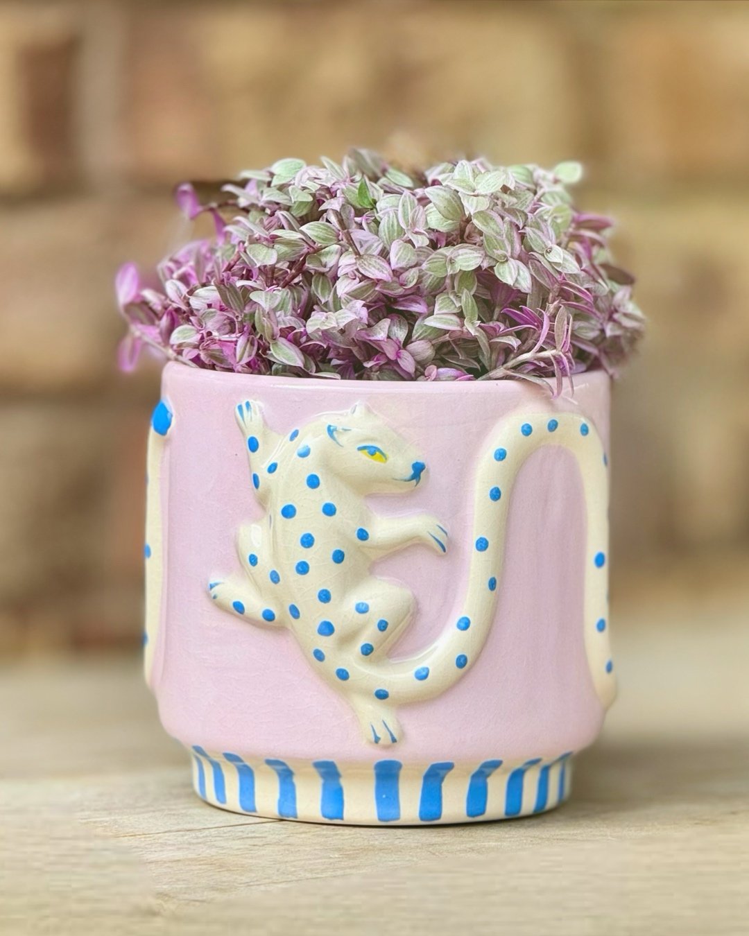 POWER COUPLE alert.🤩💙💜
These two were made for each other. Watch out BENIFFER.
We are in love with this new pot, and love how it complements the delicate PINK PANTHER TRADESCANTIA.

Leopard pot $24.99

#tropicalplants #plantsofinstagram #plants #p