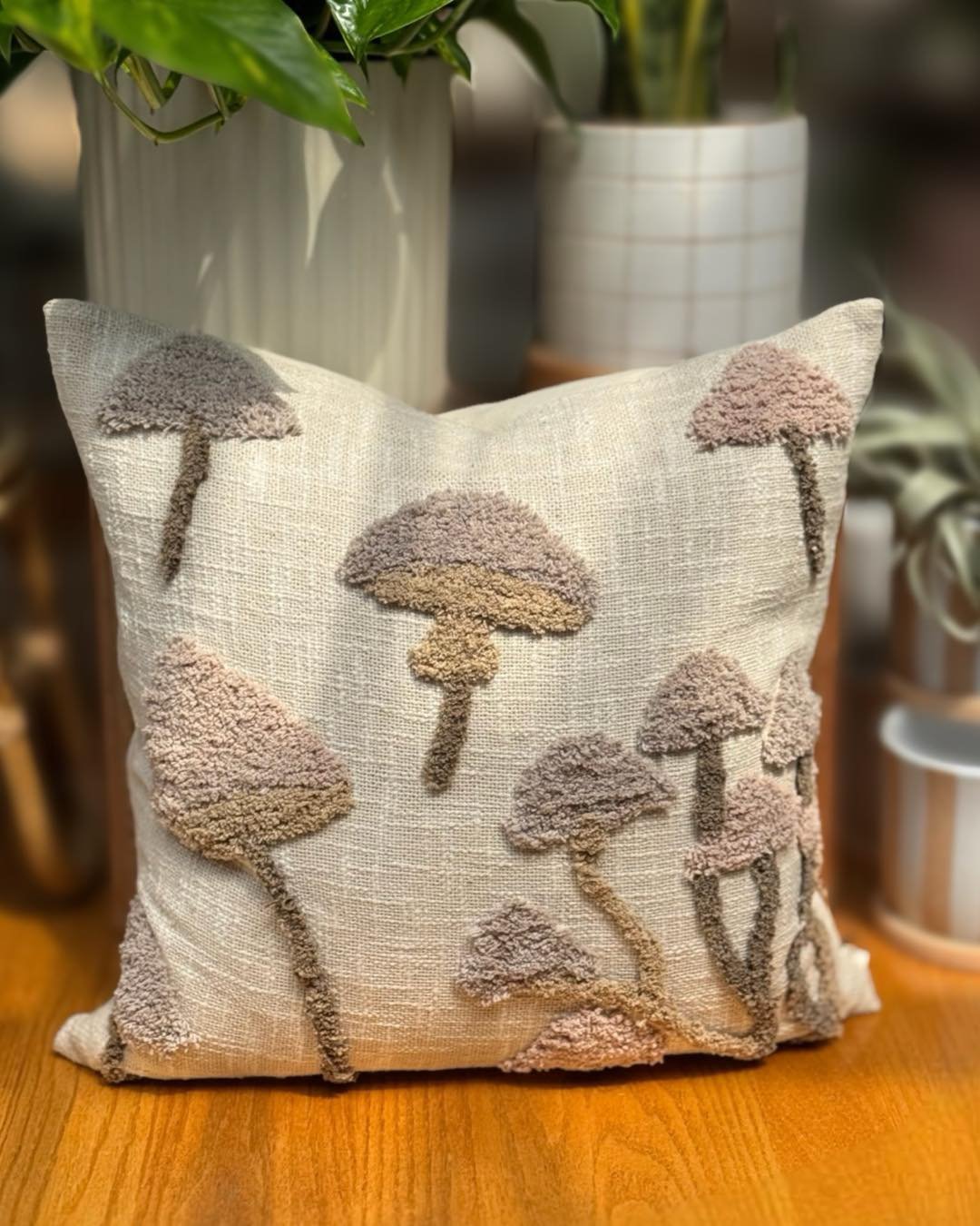 One CAN NEVER have too many throw CUSHIONS💁&zwj;♀️. This post is dedicated to my mom🩷, that's one lady who has many throw cushions&hellip; sorry dad. 

Throw cushions starting at $59.99

#tropicalplants #plantsofinstagram #plants #plantsmakepeopleh