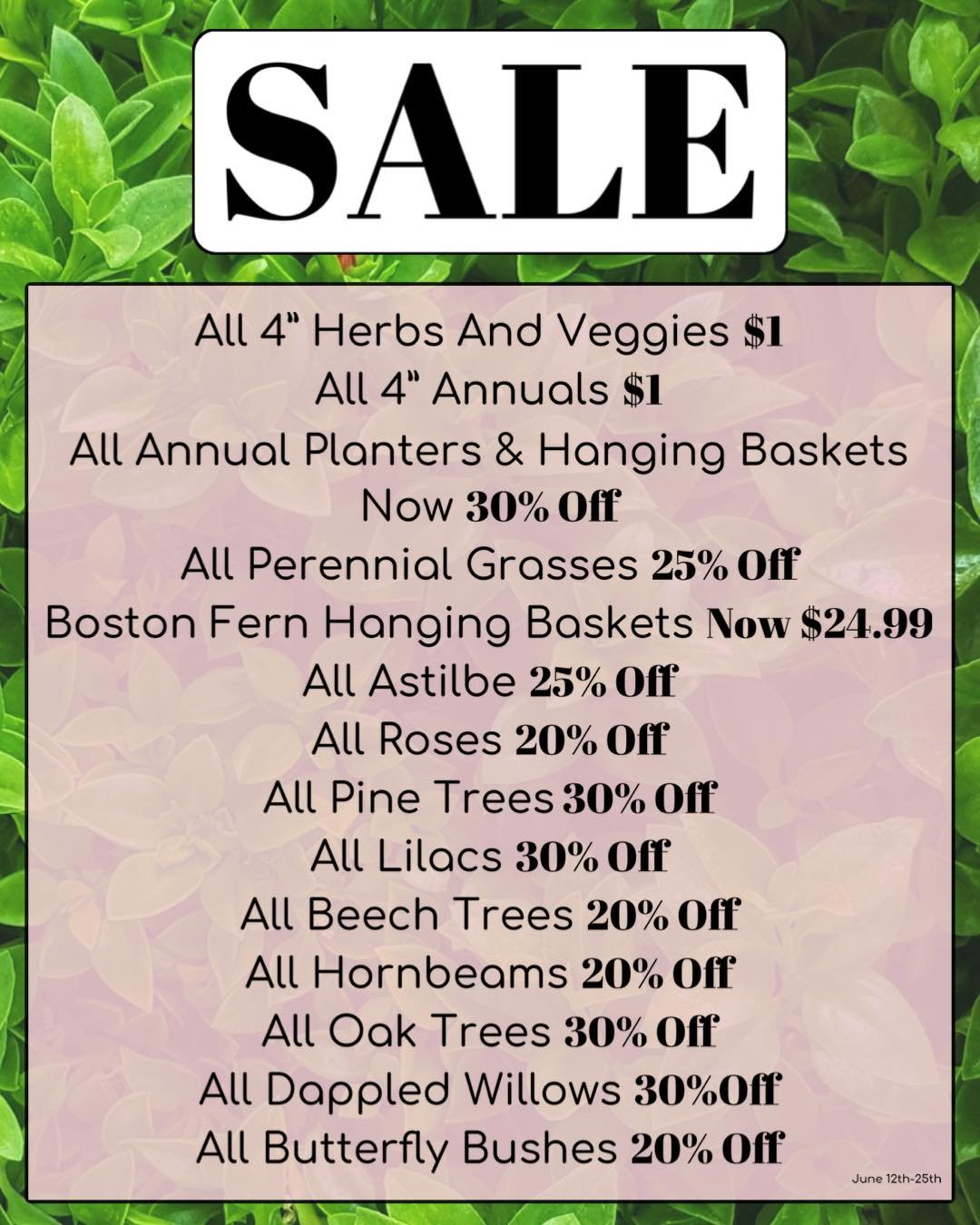 ✨SALE✨

#harpersgardencentre #exploreontario #treespirit #treeoflife #treelife #treefacts #floweringtree #floweringtrees #gardening #treefacts #gardentherapy #landscapedesign #landscapedesigner #landscaping #homeimprovement #backyarddesign #hamiltono