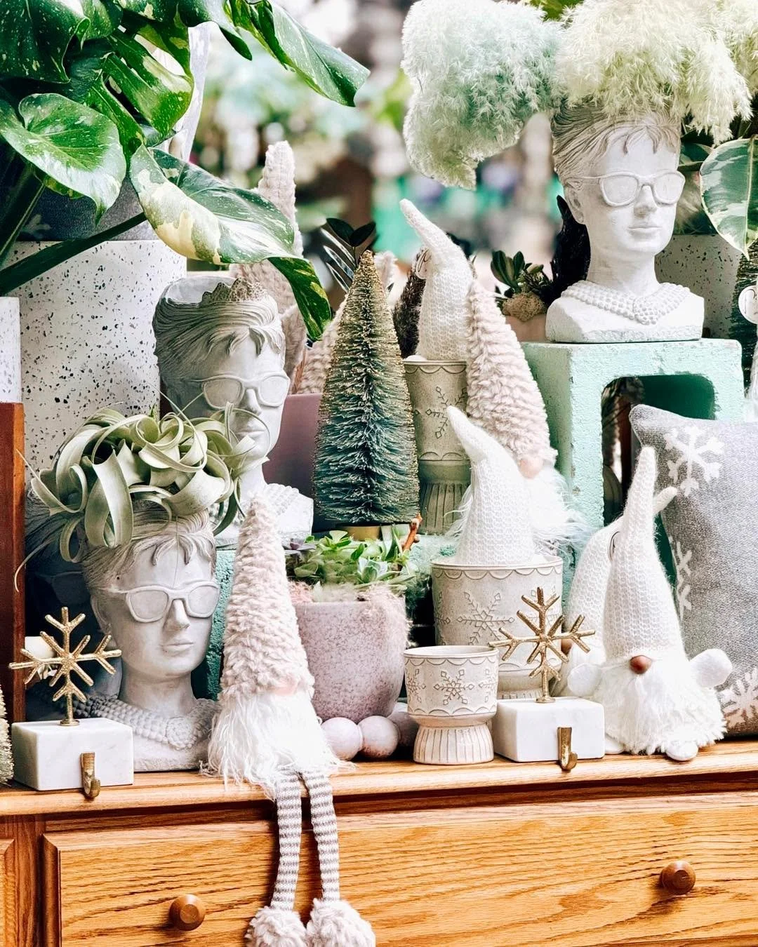 Even Miss AUDREY 🩷🕶️likes the GNOMES 😊❄️

#tropicalplants #plantsofinstagram #plants #plantsmakepeoplehappy #houseplants #urbanjungle #indoorplants #plantlover #tropical #houseplantclub #rareplants #plant #houseplantsofinstagram  #indoorpots #aroi