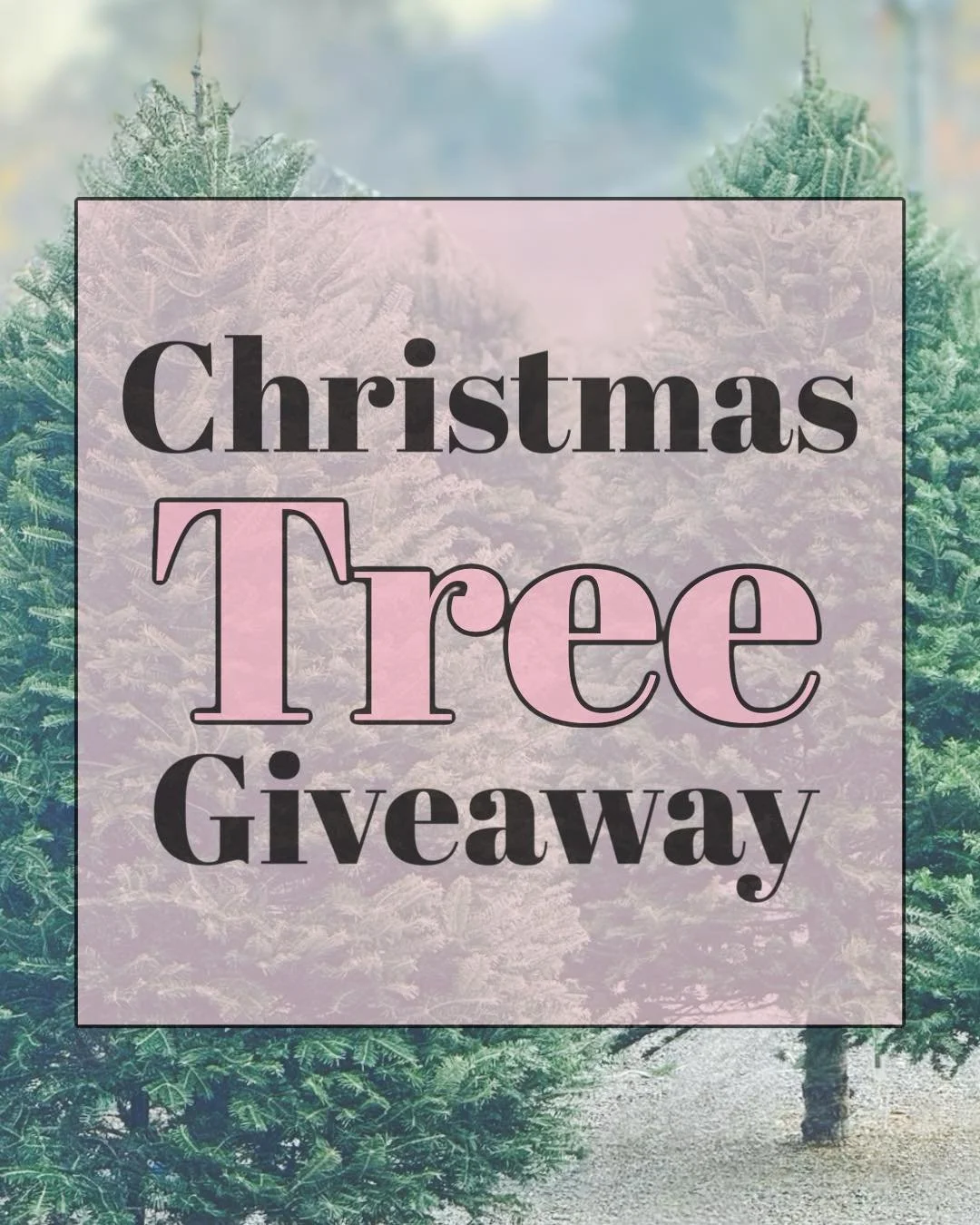 Harper&rsquo;s is ✨GIVING AWAY A FRESH CUT CHRISTMAS TREE✨🌲 OF YOUR CHOICE.
That&rsquo;s right, a tree of your choice. You can personally select your winning tree.

NEVER NEVER GIVE AWAY YOUR PERSONAL INFORMATION. YOU WILL NOT BE MESSAGE ON FACEBOOK