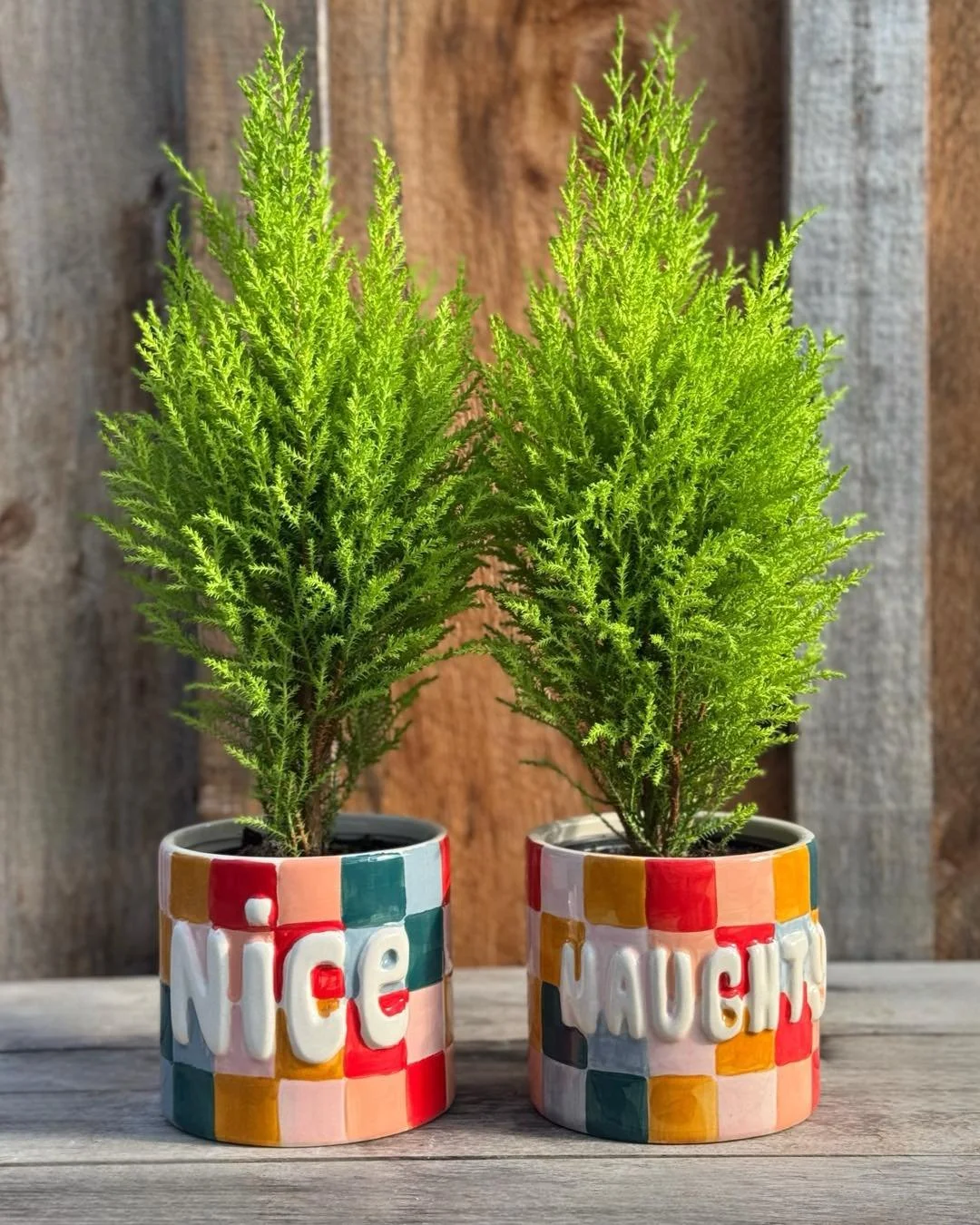 Are you on the ✨NAUGHTY or NICE LIST?✨&hellip;don&rsquo;t worry with this pot you can be on both. Currently💁&zwj;♀️ I have made it onto BOTH LISTS😝😊🩷. All you have to do is turn the pot to match your mood. 

Naughty or nice pot $24.99
Lemon cypre