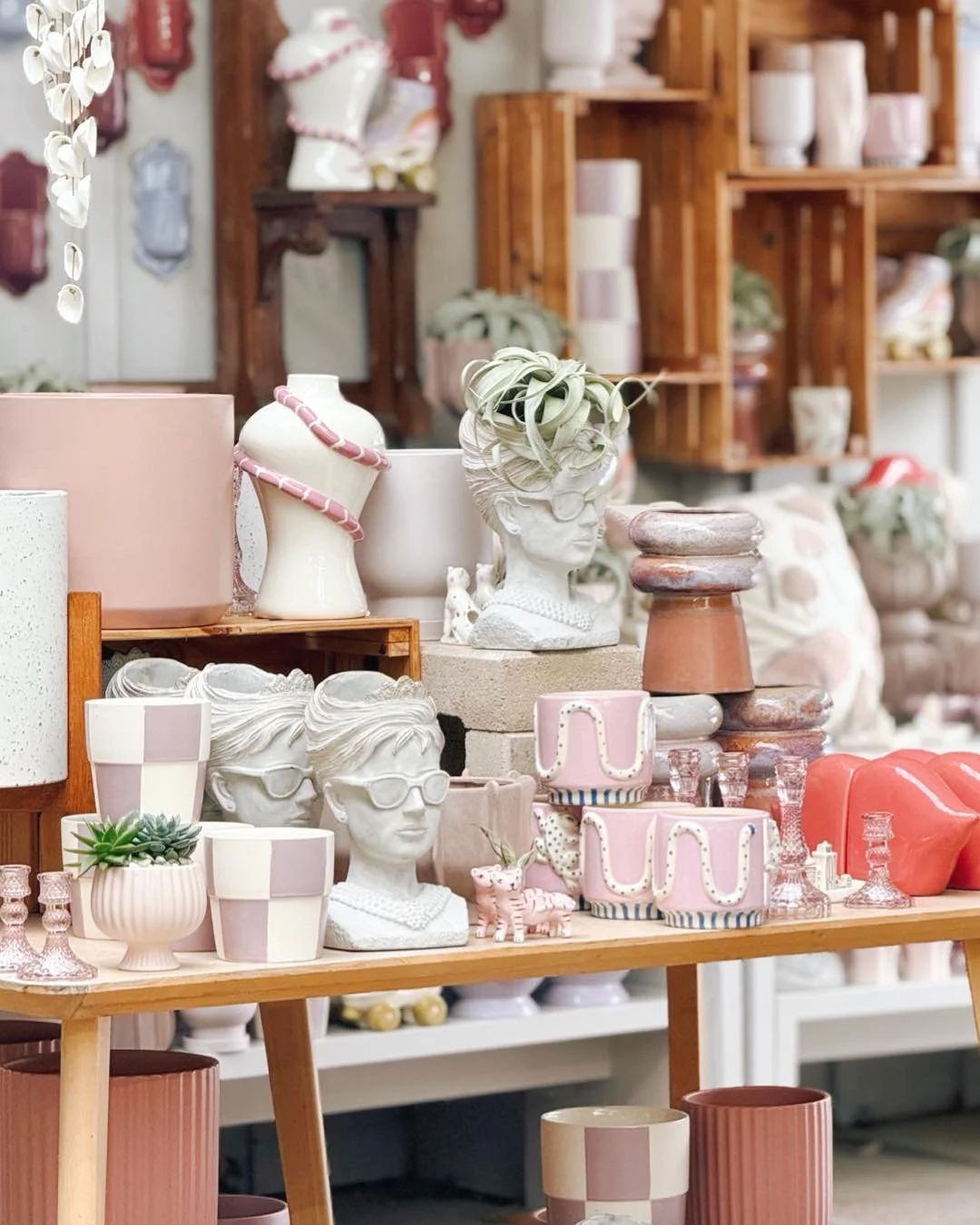 Current MOOD💜💗🩶🕶️

#tropicalplants #plantsofinstagram #plants #plantsmakepeoplehappy #houseplants #urbanjungle #indoorplants #plantlover