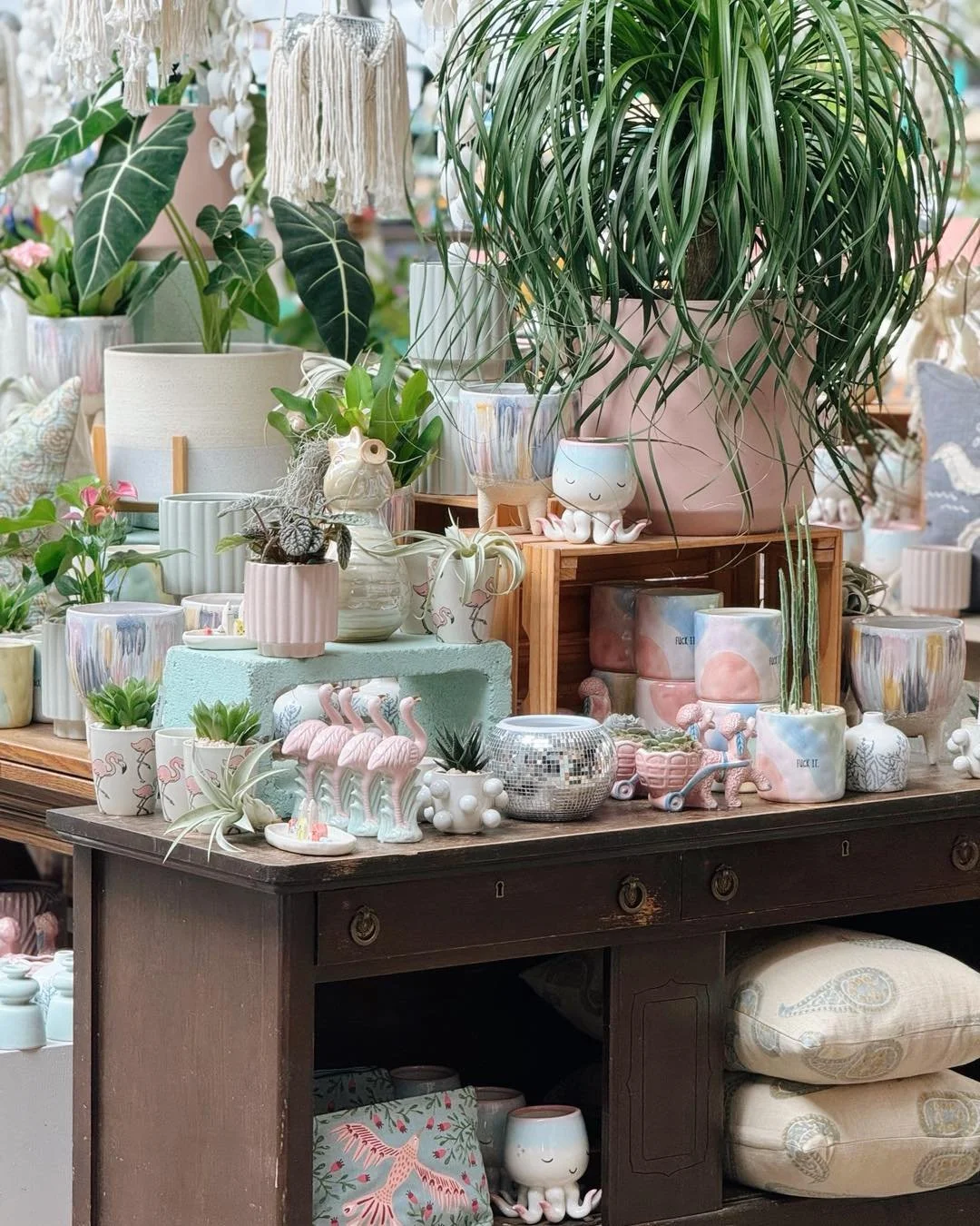 I&rsquo;m 36 years old💁&zwj;♀️&amp; I still want to be a mermaid when I grow up🩷🧜🏻&zwj;♀️🐚

#tropicalplants 
#plantsofinstagram #plants #plantsmakepeoplehappy