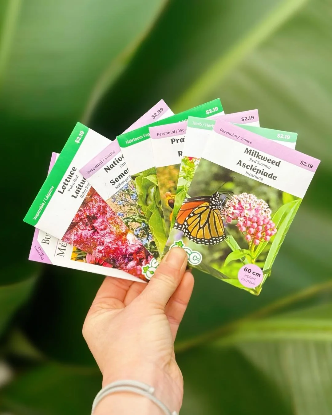 ✨SEEDS✨ have arrived. Don&rsquo;t Netflix &amp; chill, Netflix &amp; SEED💁&zwj;♀️🪴

#tropicalplants 
#plantsofinstagram #plants