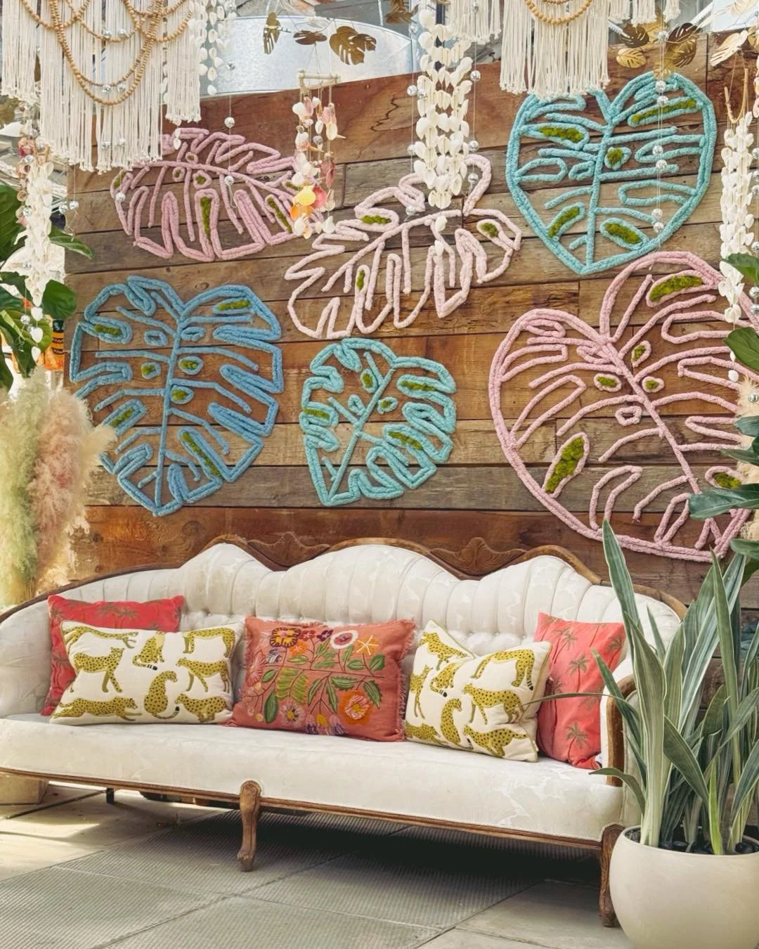 An ICONIC 📷photo shoot awaits🩷✨😊 

#tropicalplants 
#plantsofinstagram #plants