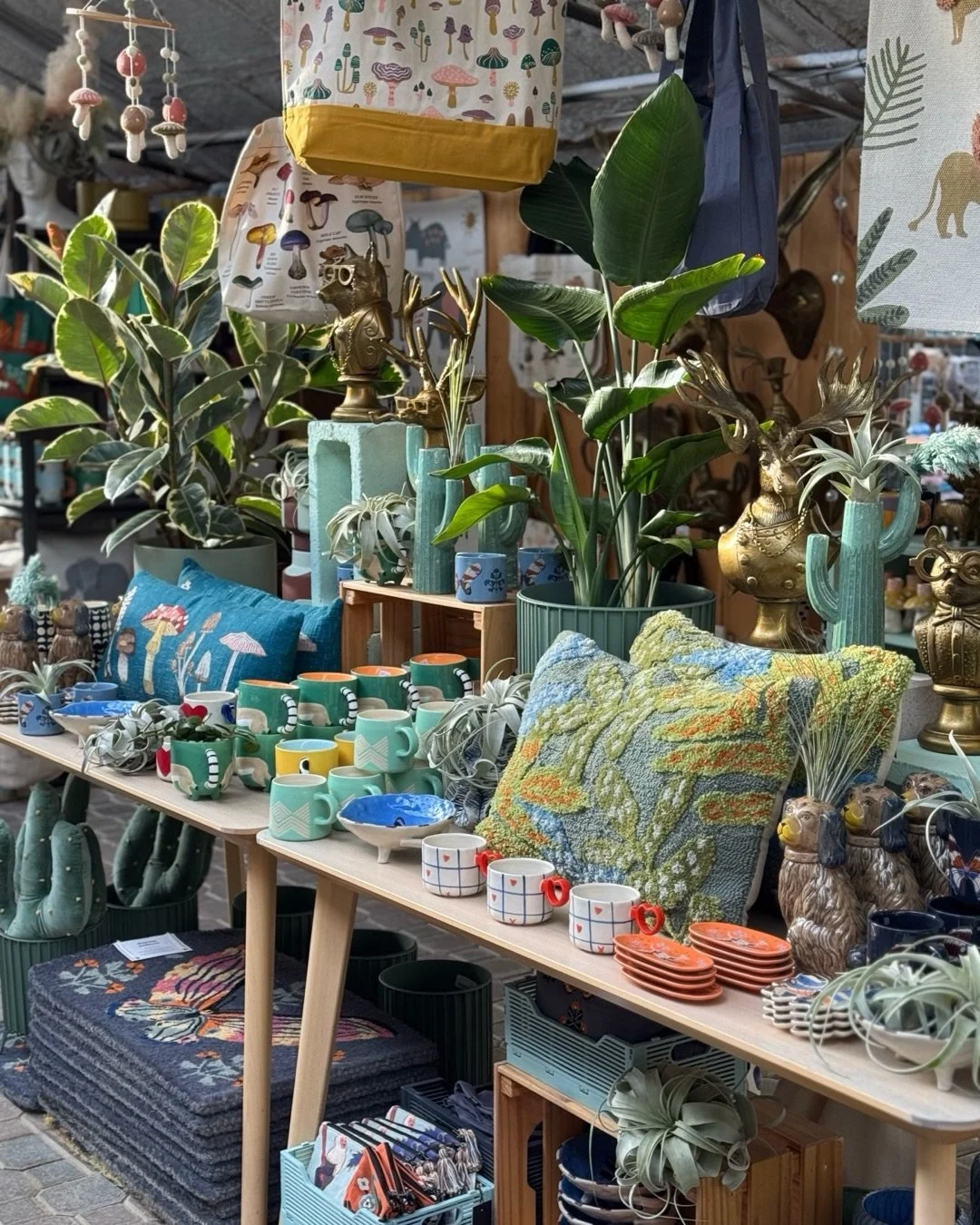 This theme is called &ldquo;I&rsquo;m going on a NATURE WALK&rdquo;&hellip;. 😉🙊🌼🍄🌞🕶️🪴

#tropicalplants 
#plantsofinstagram #plants