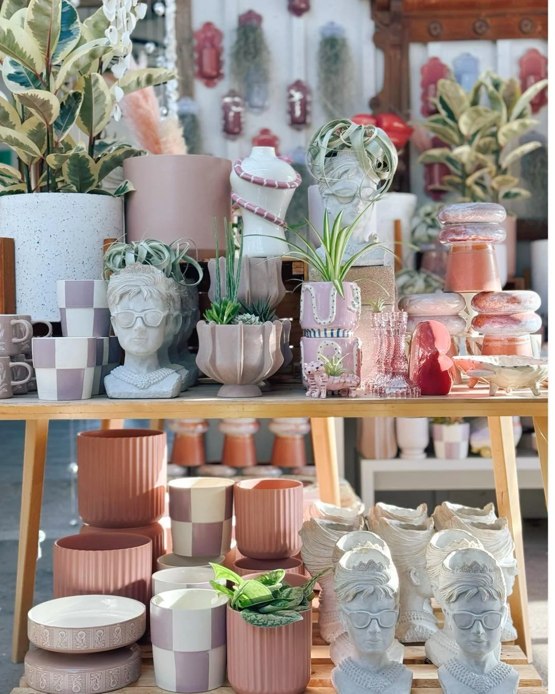 Display inspiration: the supermodels of the 90s🩷🕶️💁&zwj;♀️

#tropicalplants 
#plantsofinstagram #plants #plantsmakepeoplehappy #houseplants #urbanjungle