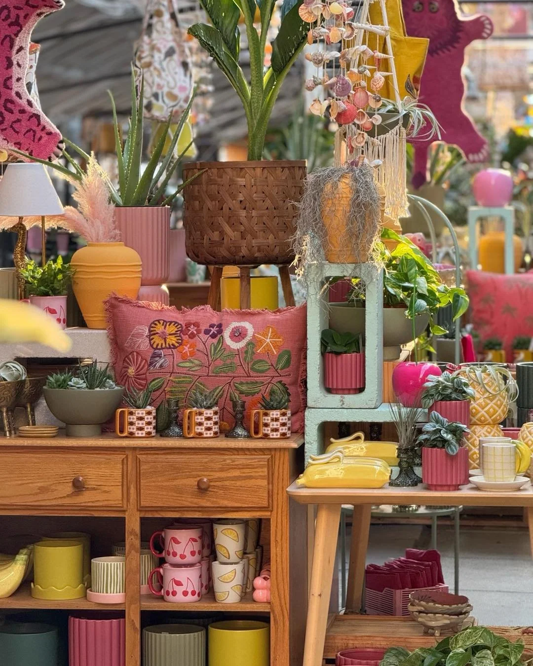 🩷+🌞+🍒+🍍+🌸+🐅= Harper&rsquo;s 

#tropicalplants 
#plantsofinstagram #plants