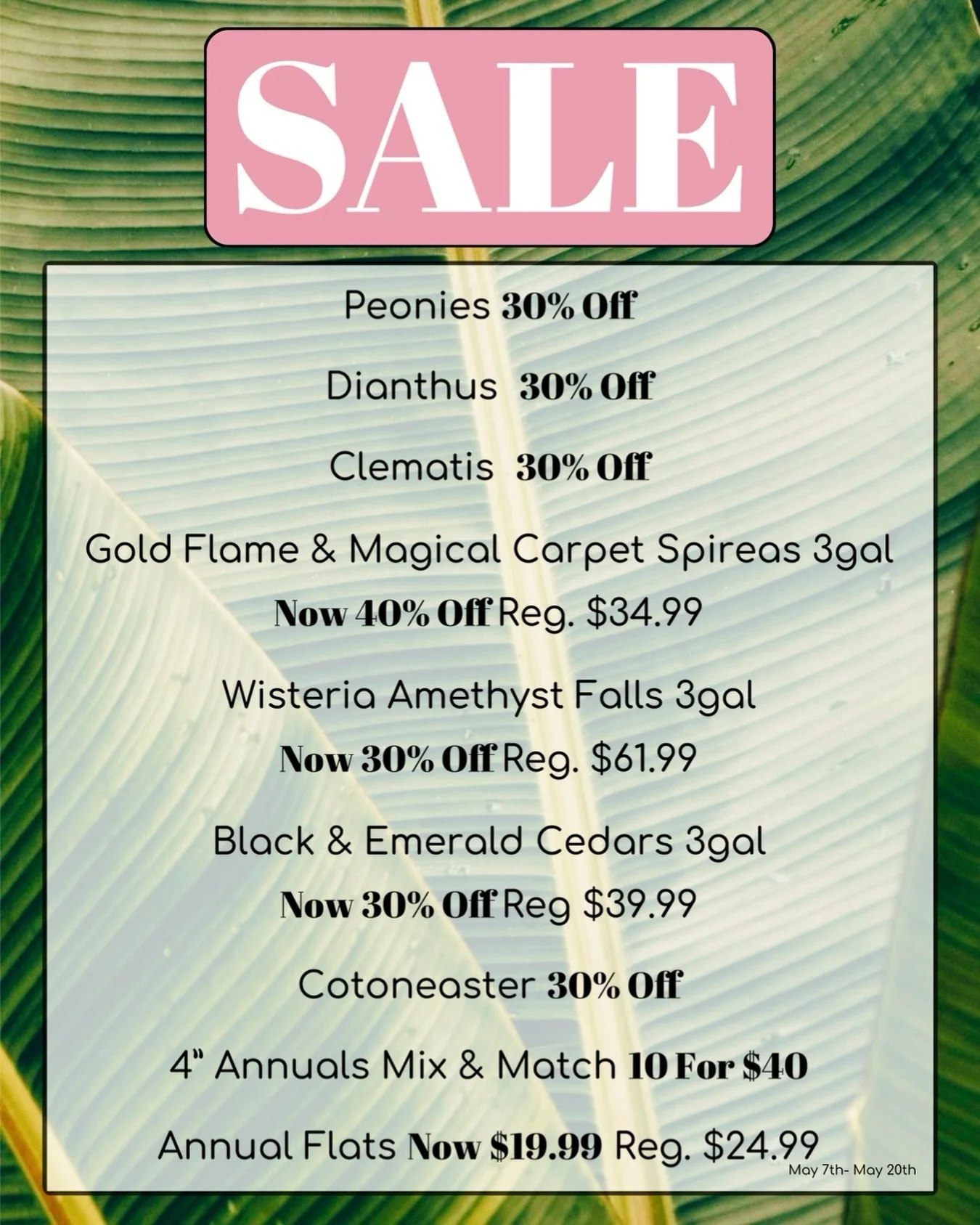 ✨SALE✨ 
May 7th - May 20th