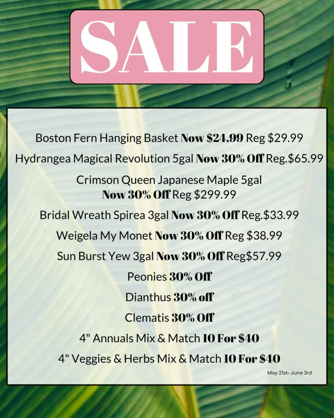 ✨New SALE✨