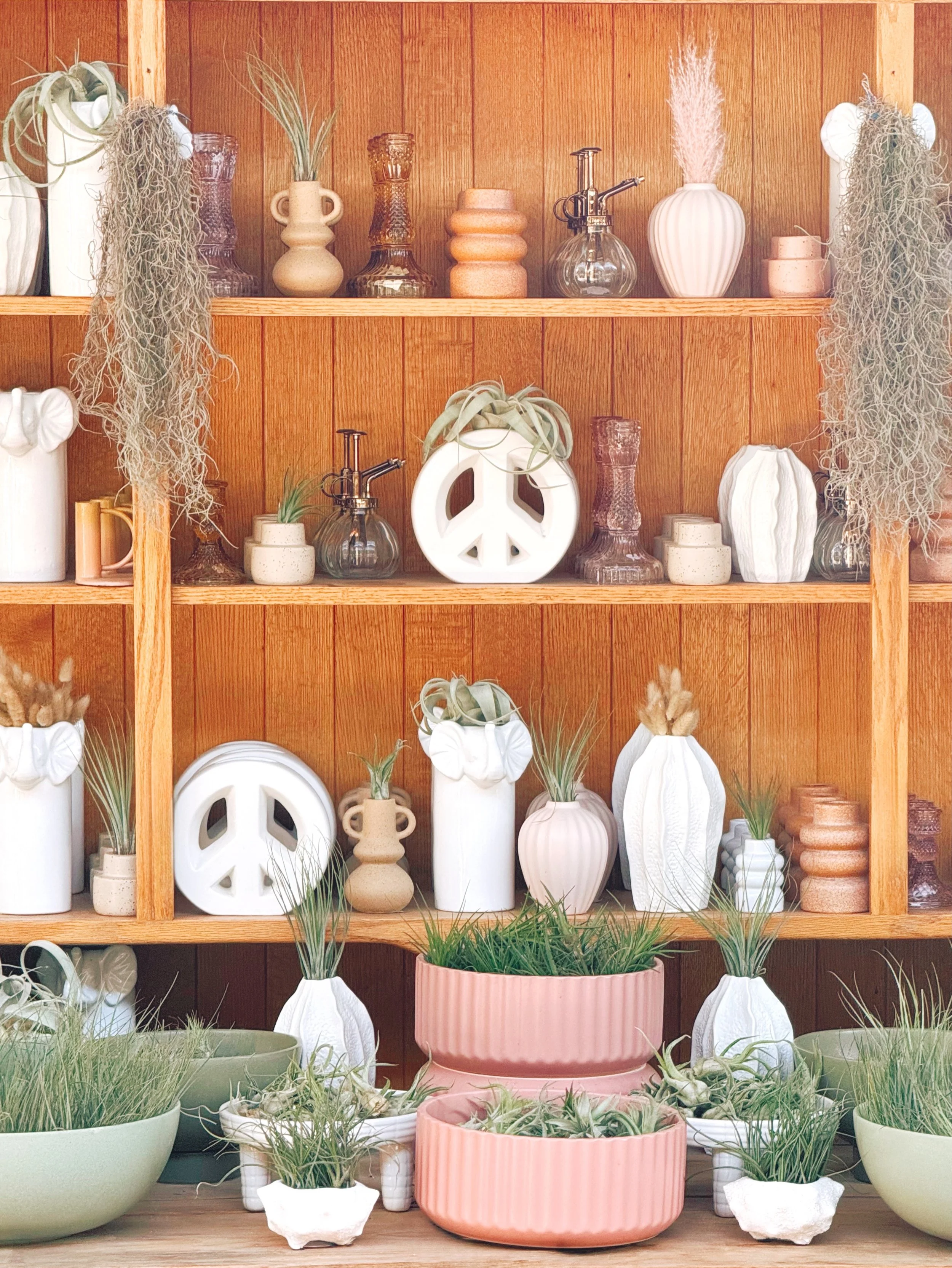 Every room needs at least one air plant 💁&zwj;♀️

#plantsmakepeoplehappy #houseplants #urbanjungle