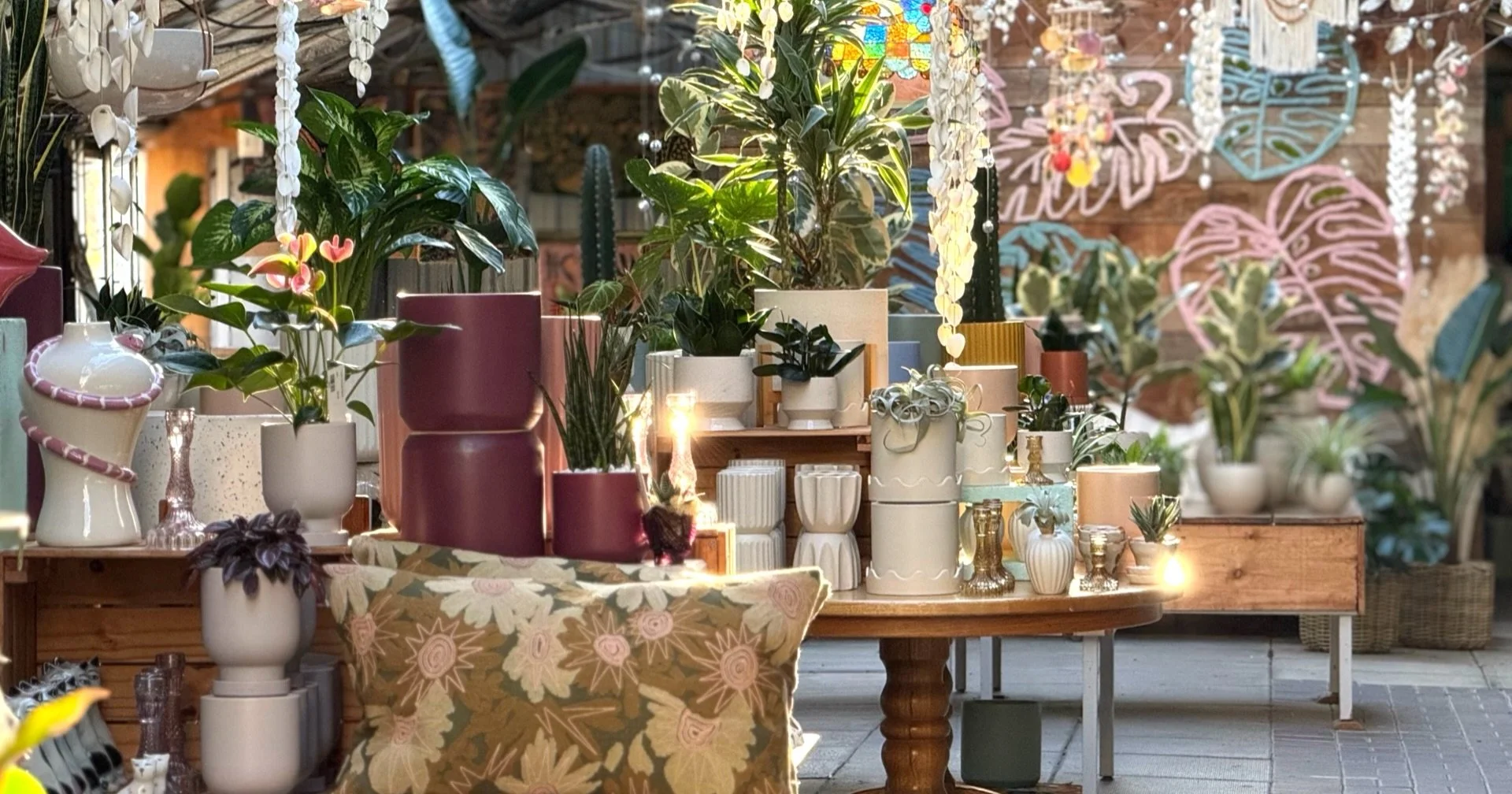 A  Fall🌞GOLDEN HOUR photo🌞 after closing the store for the night that was too pretty not to share 🩷🌞🪴💁&zwj;♀️.

#plants #sunset #indoorplants