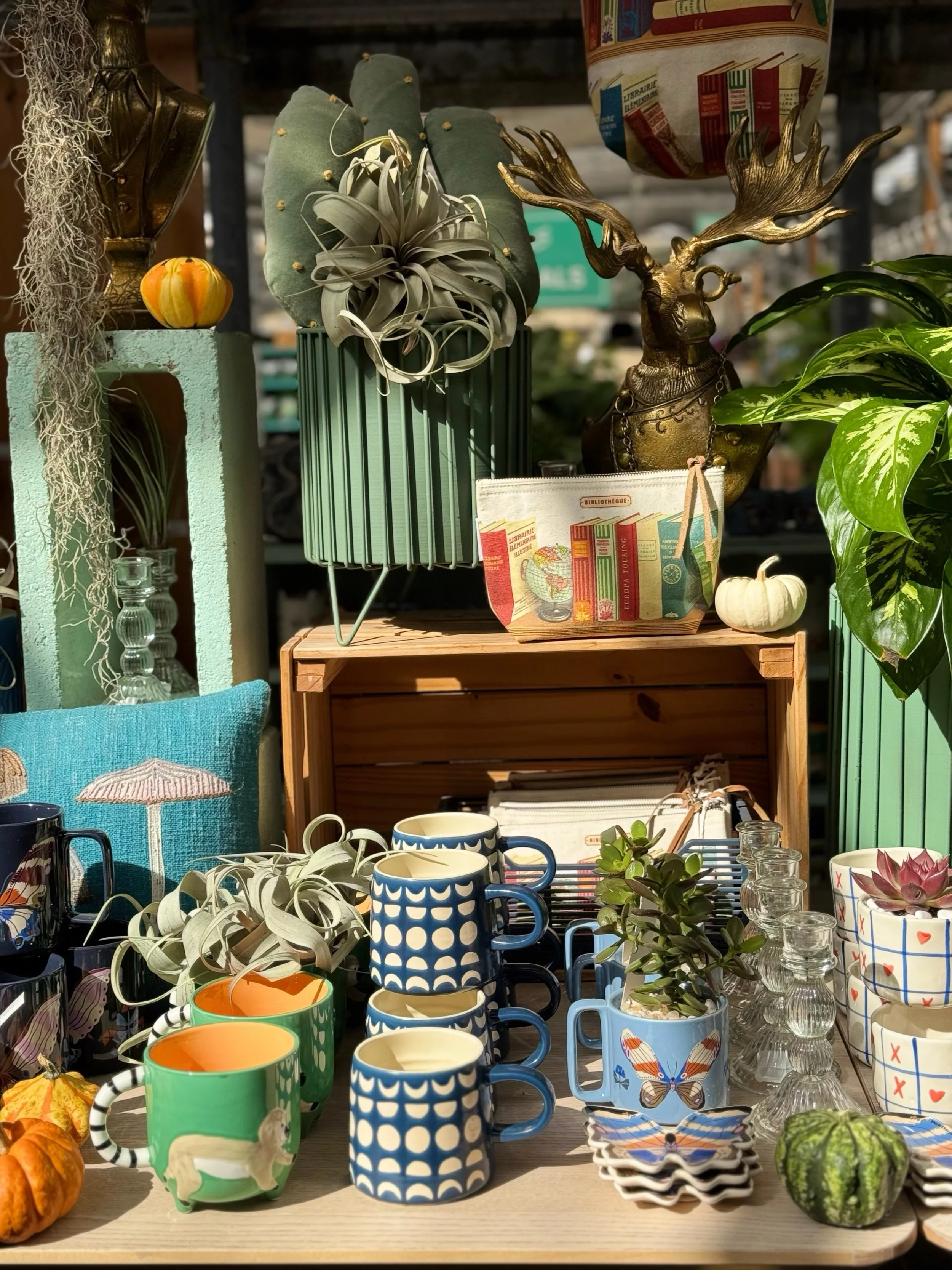 Reading rainbow vibes today💁&zwj;♀️🩷📚📓🌈

#design #decor #indoorjungle