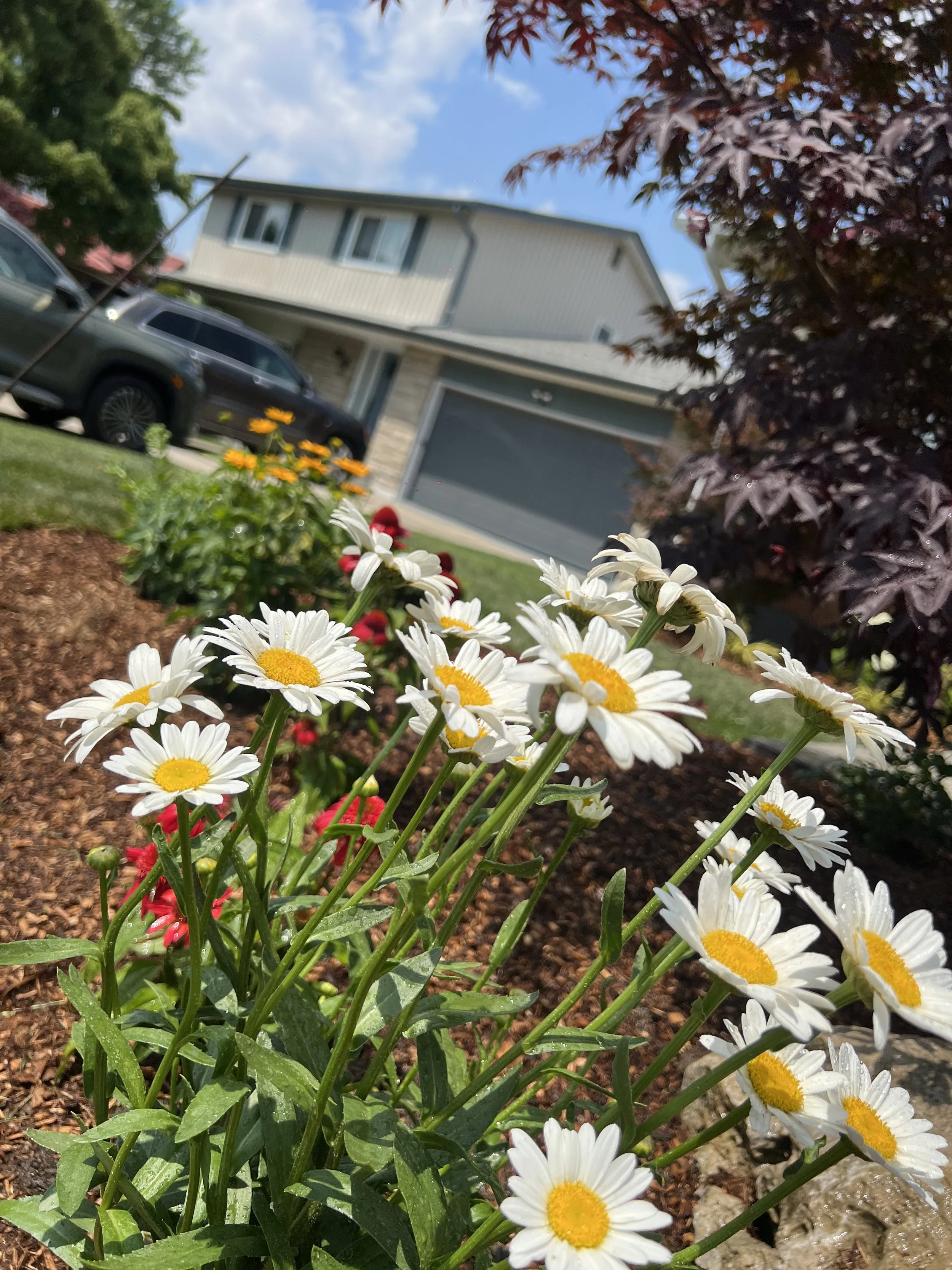 IMG_5208.jpeg