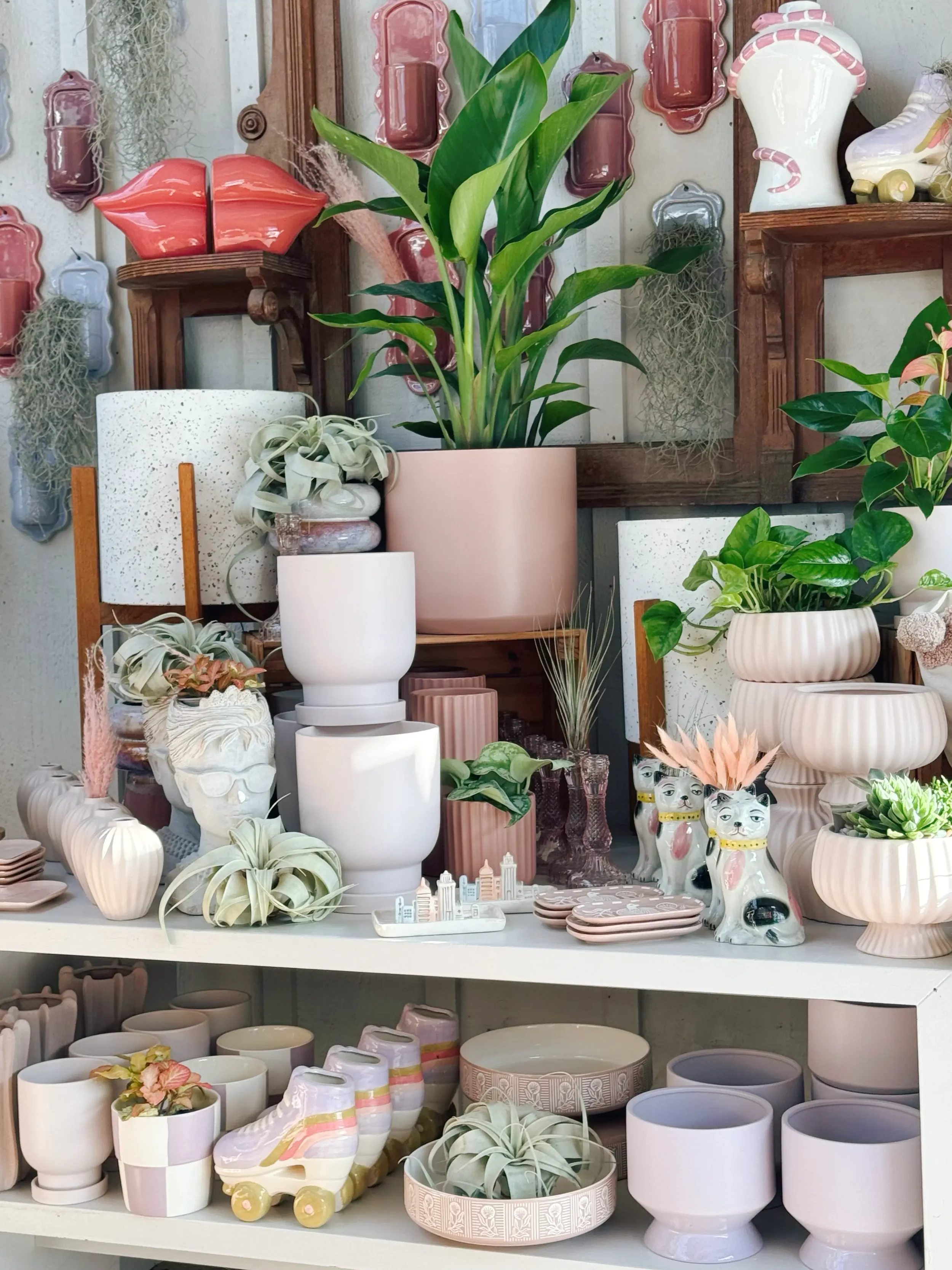 miss Audrey 2.0 (2) 2.webp