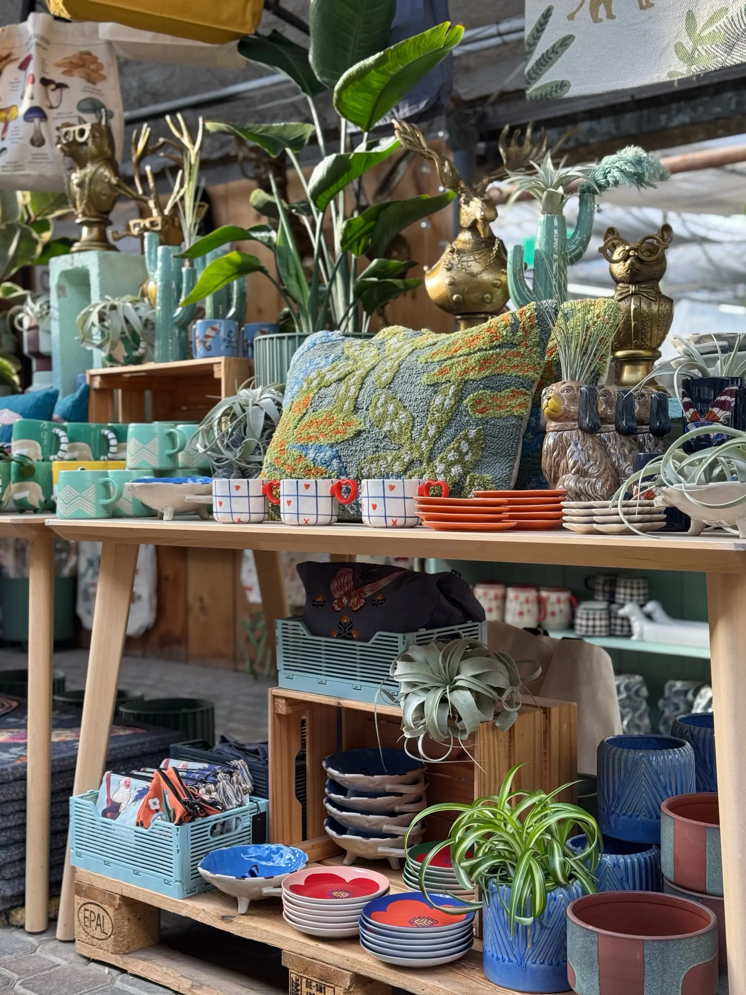 nature walk(2) 2.webp