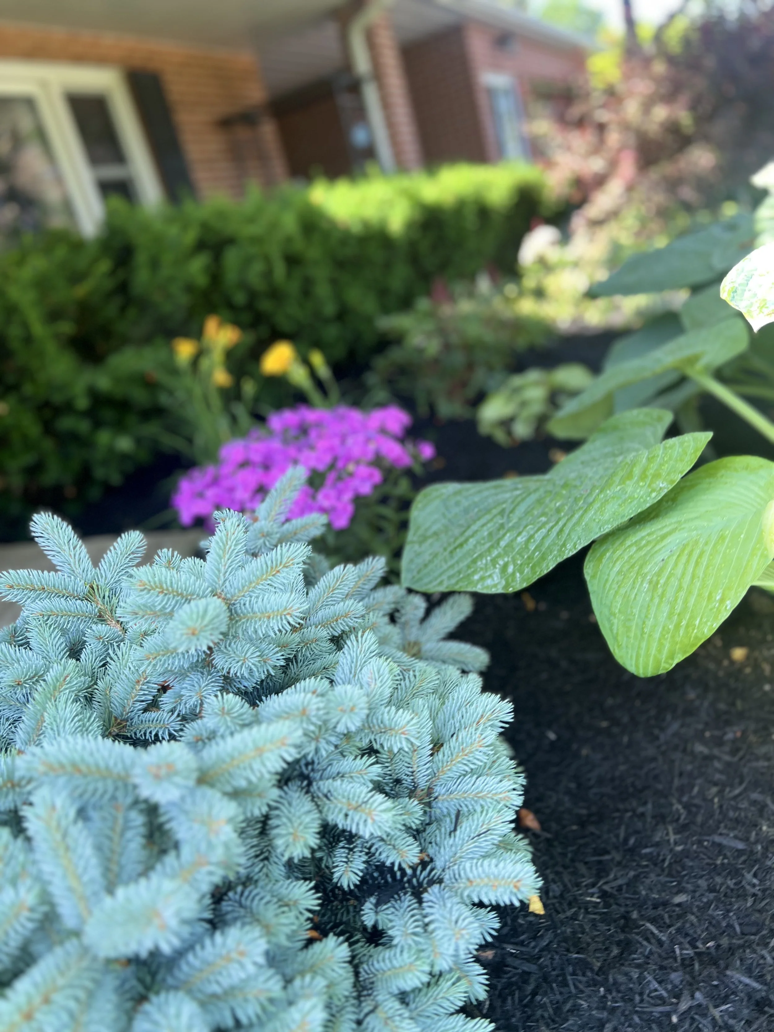 IMG_4907.jpeg