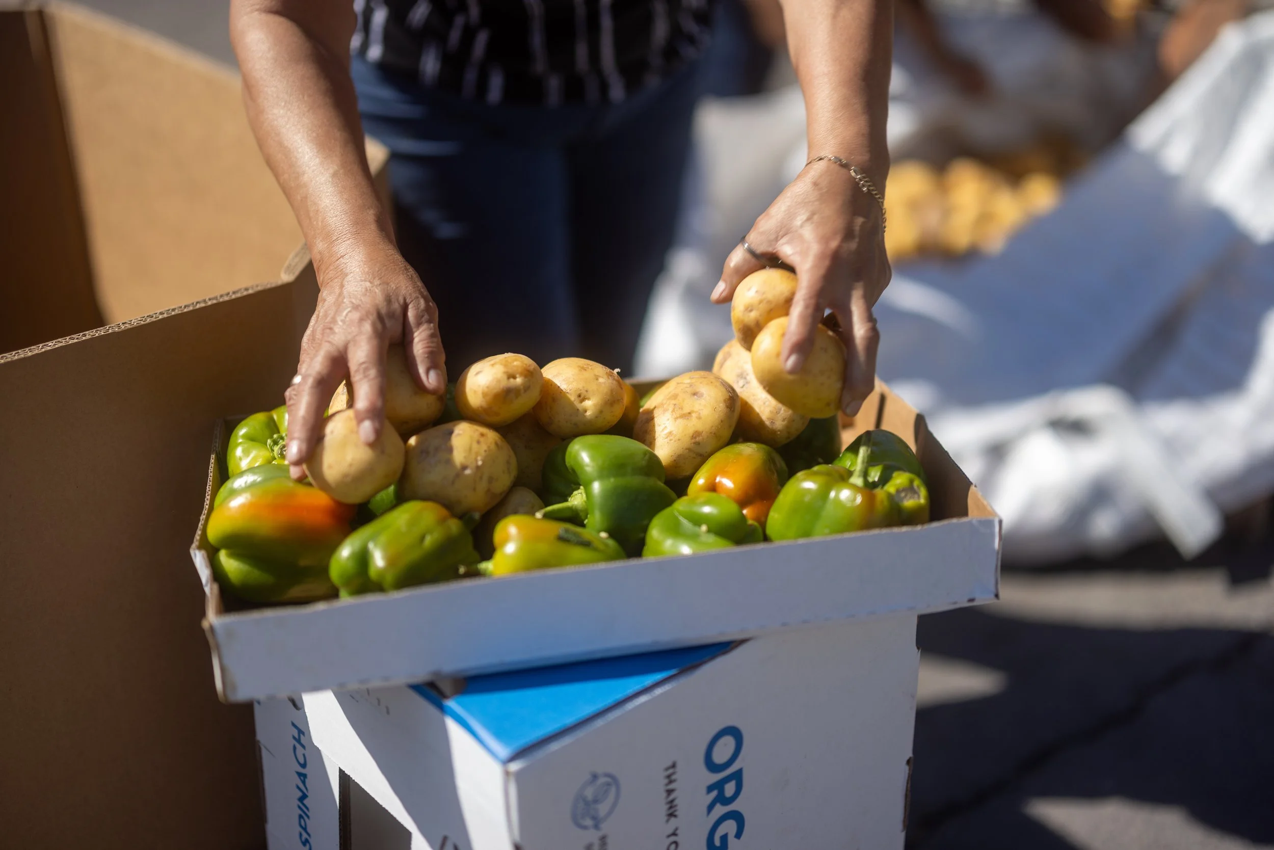 Individual Involve Volunteer - Individual | Get Involved Today — Toledo Northwestern Ohio ...