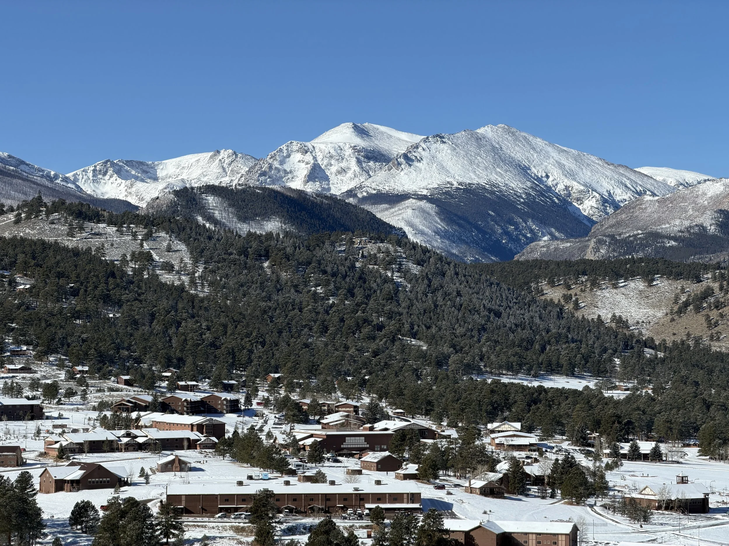 Seasonal pest guide for Northern Colorado