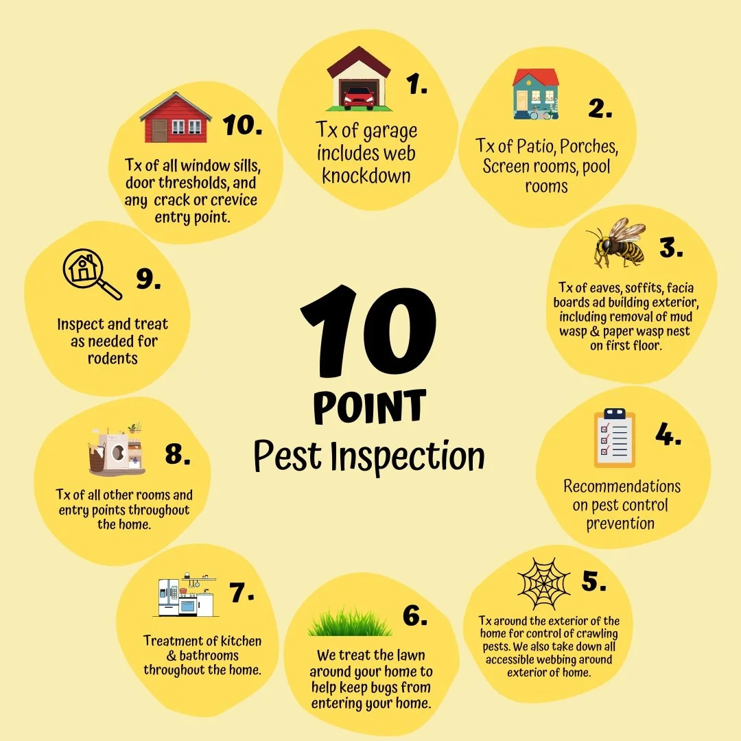 Prime Pest Solutions 10-point home pest inspection