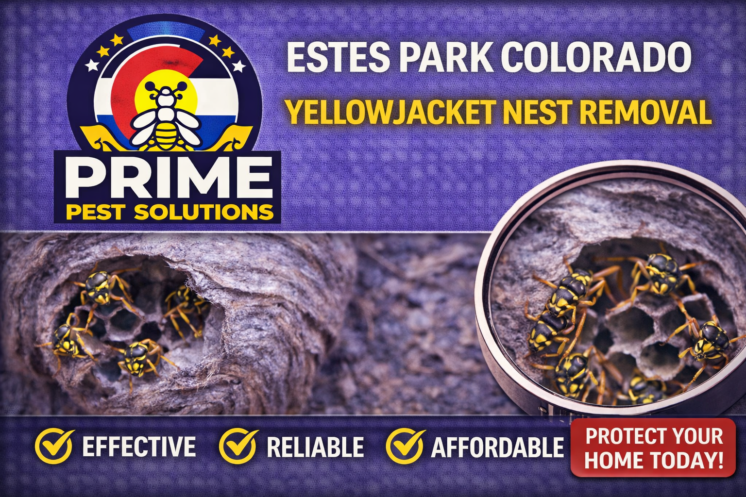A pest control advertisement for Prime Pest Solutions, featuring a logo with a bee and a Colorado flag, and a close-up of wasps in a nest with a can of nest removal spray nearby. The text highlights effectiveness, reliability, affordability, and encourages protecting your home today.