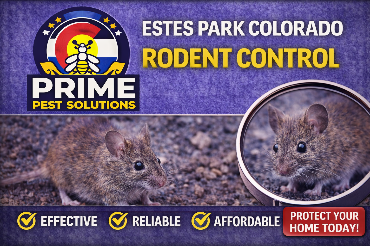 A pest control product called PRIME Pest Solutions for rodent control, featuring an image of a mouse, with a mirror reflecting the mouse's face. The label emphasizes effectiveness, reliability, and affordability, and urges protecting your home today.