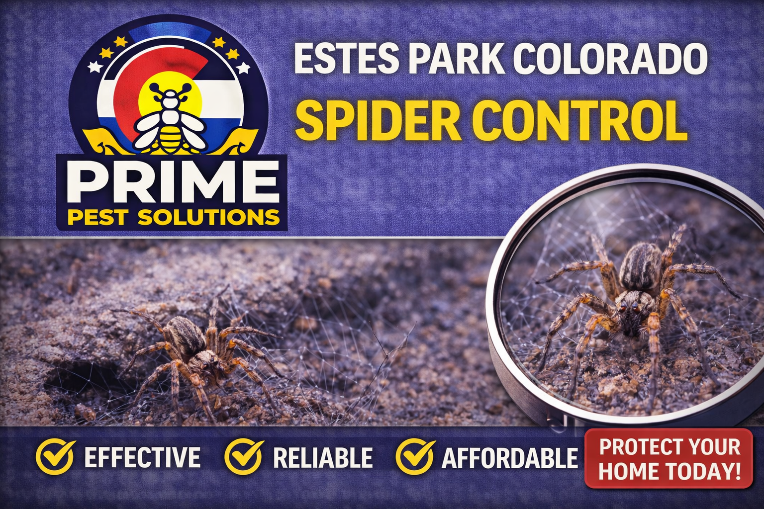 Packaging for Prime Pest Solutions Spider Control, featuring a logo with a bee and a Colorado state flag, and an image of a spider trapped in a web, with text emphasizing effectiveness, reliability, affordability, and a call to protect your home today.