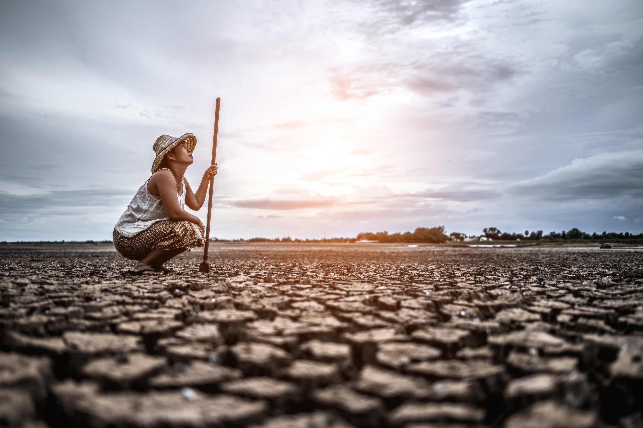 Shocking Stats: Why Sunscreen Isn't Optional in a Warming World