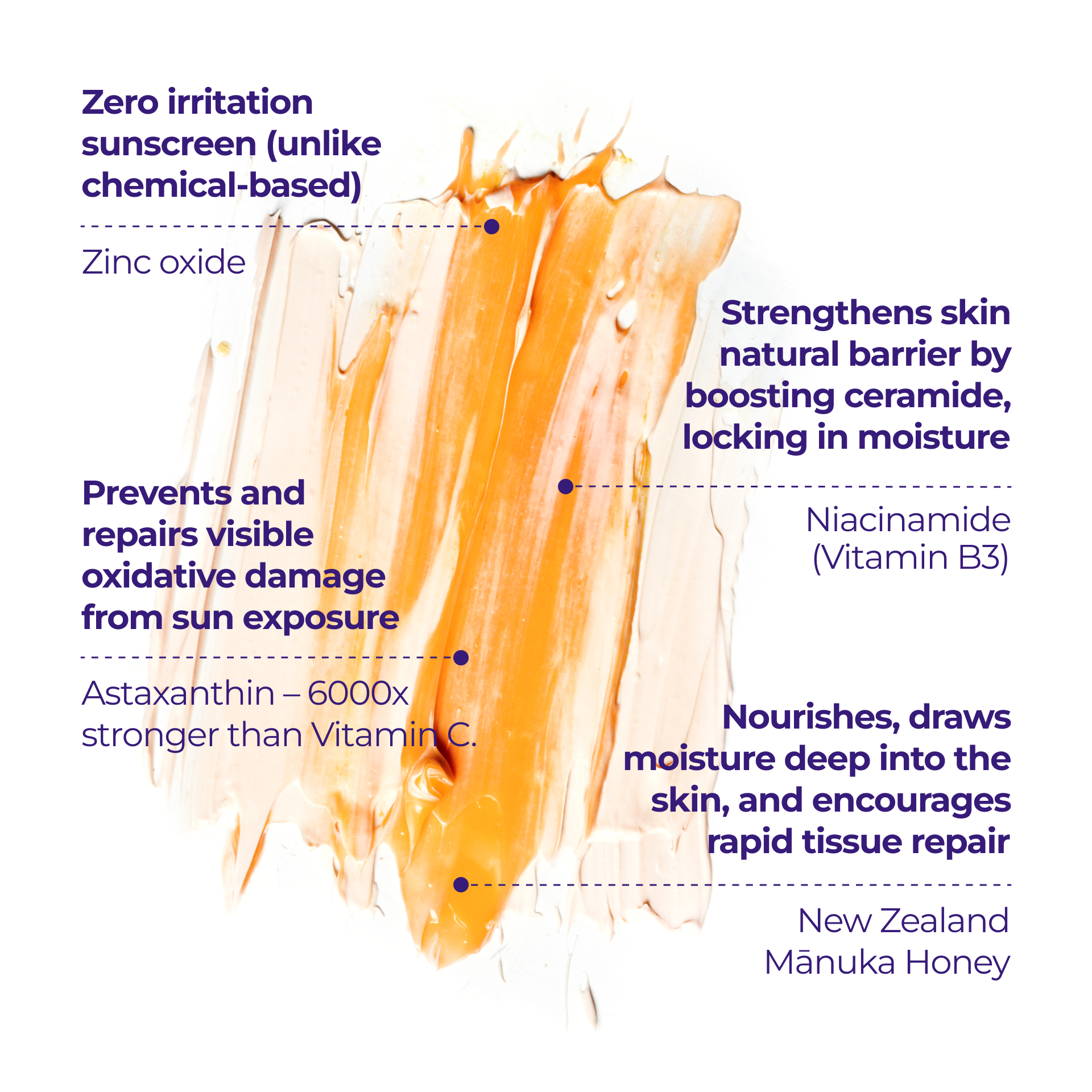 Product Image - 6000x Elemental Screen SPF30 - Ingredients.png