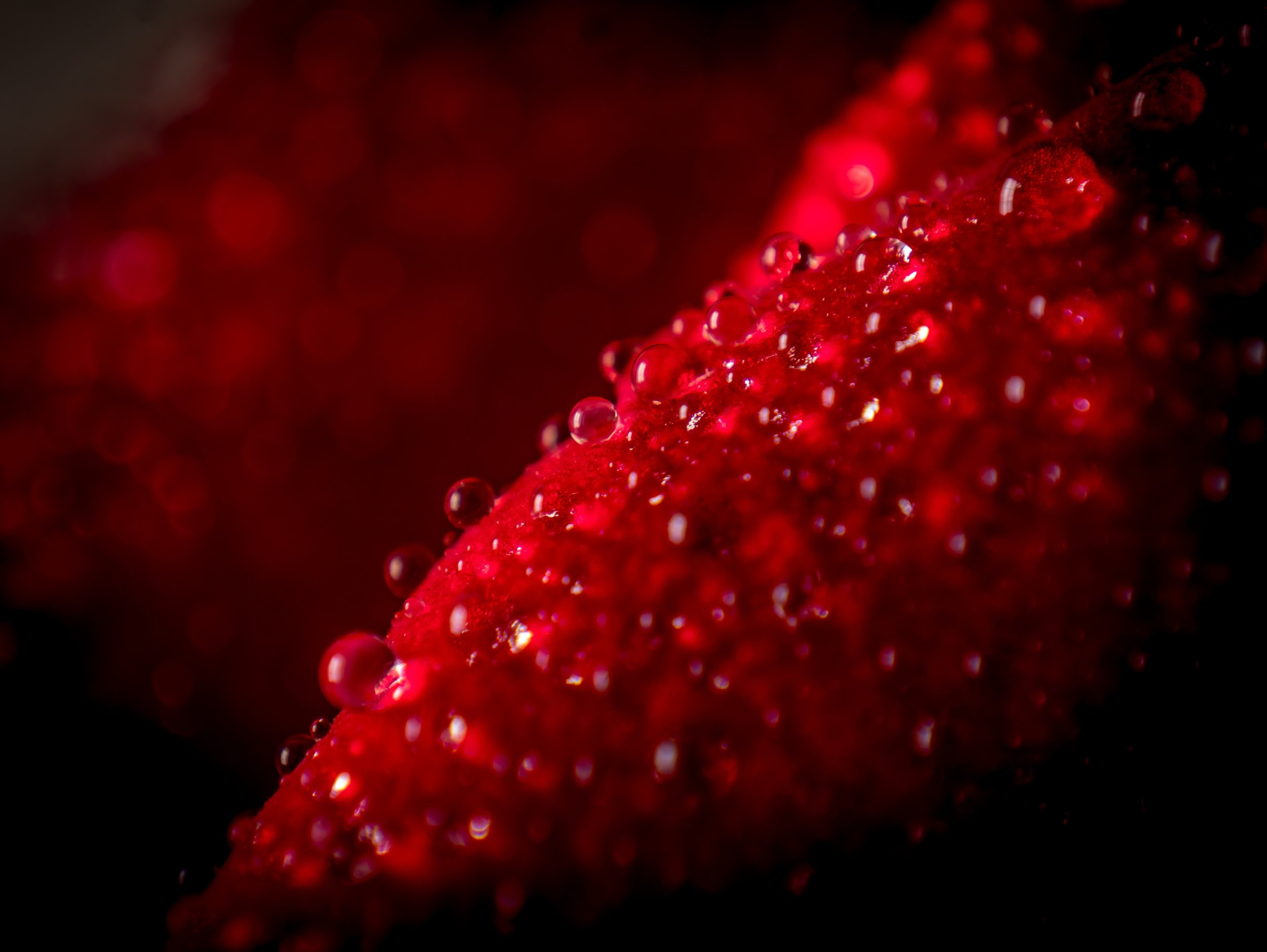 Close-up of a red strawberry with tiny water droplets on its surface.