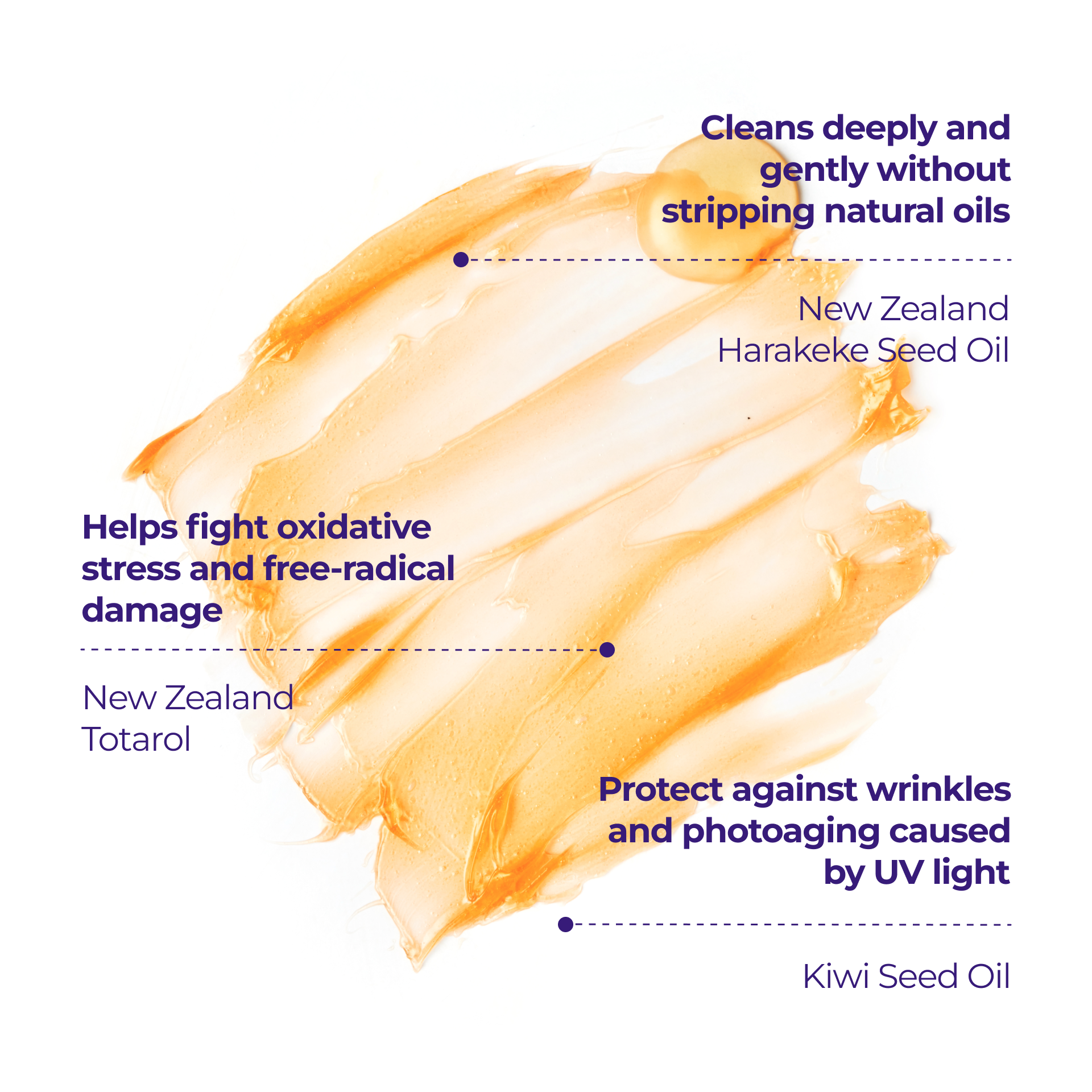 Product Image - Glacial Melting Cleanser - Ingredients.png