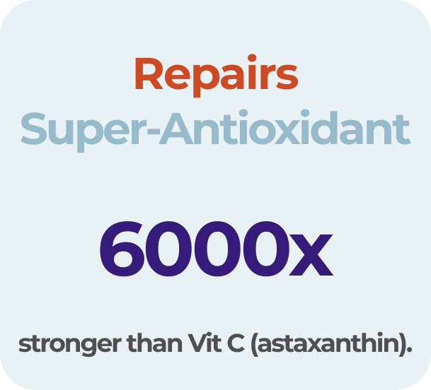 Text-based graphic showcasing a supplement with antioxidants that repairs, is 600 times stronger than vitamin C, and contains astaxanthin.