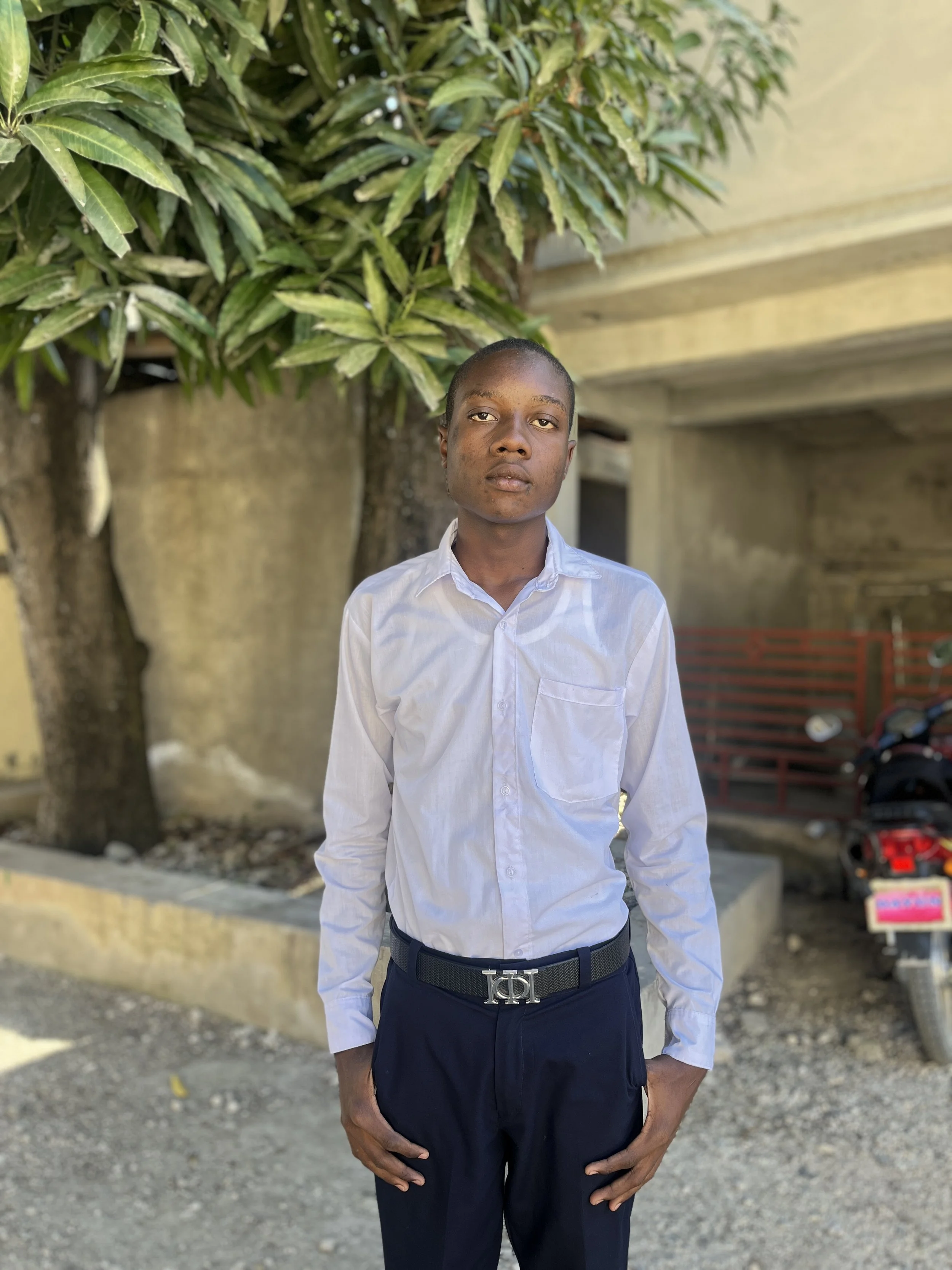 If I Were President of Haiti by Widnel Petit Frere