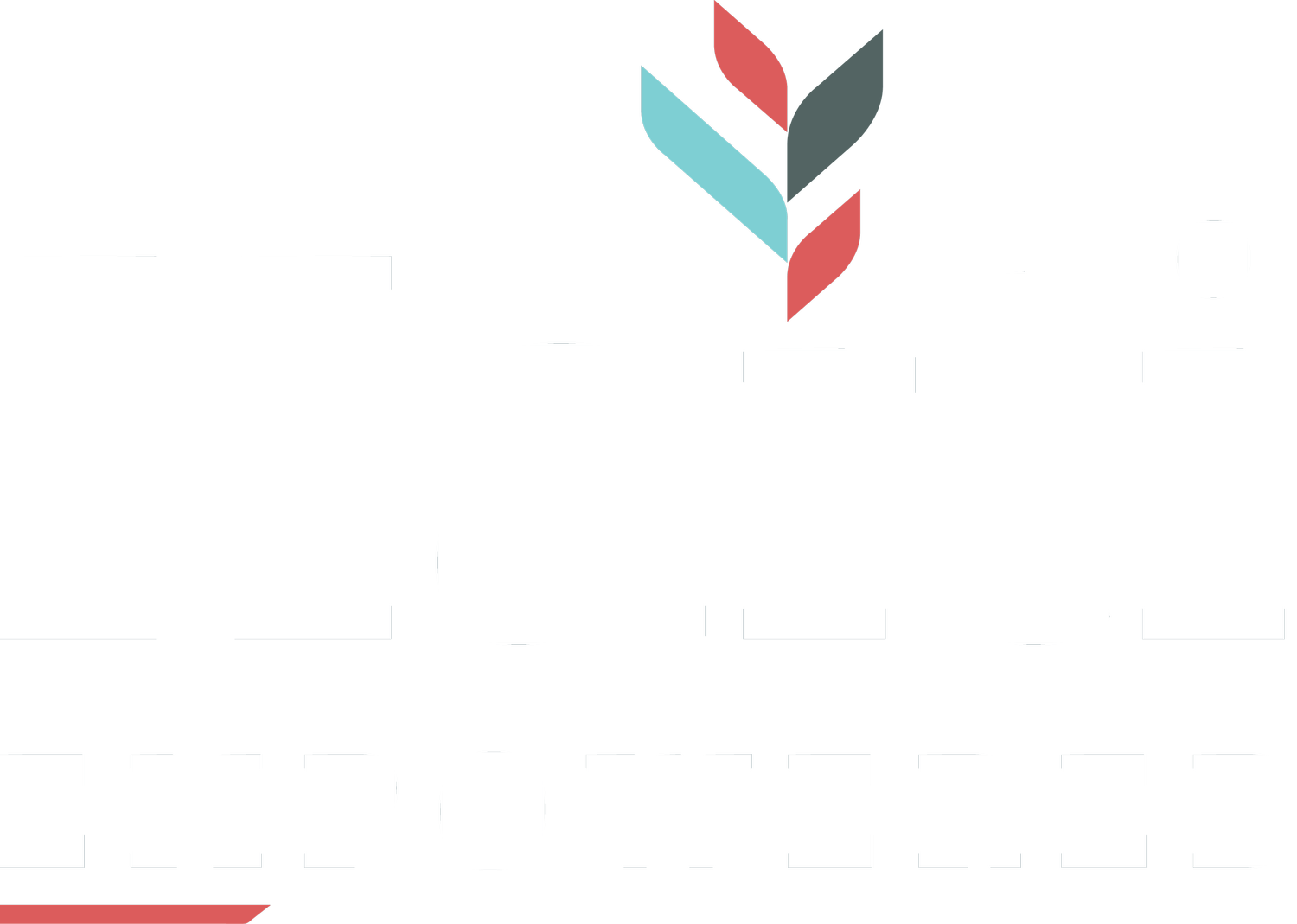 Haiti Empowered