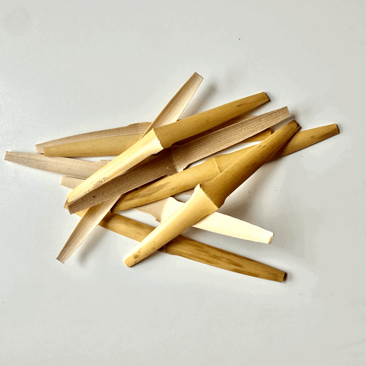 Shaped Oboe Reed Cane — Rose Reeds