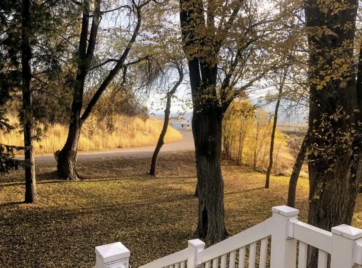 driveway.jpg