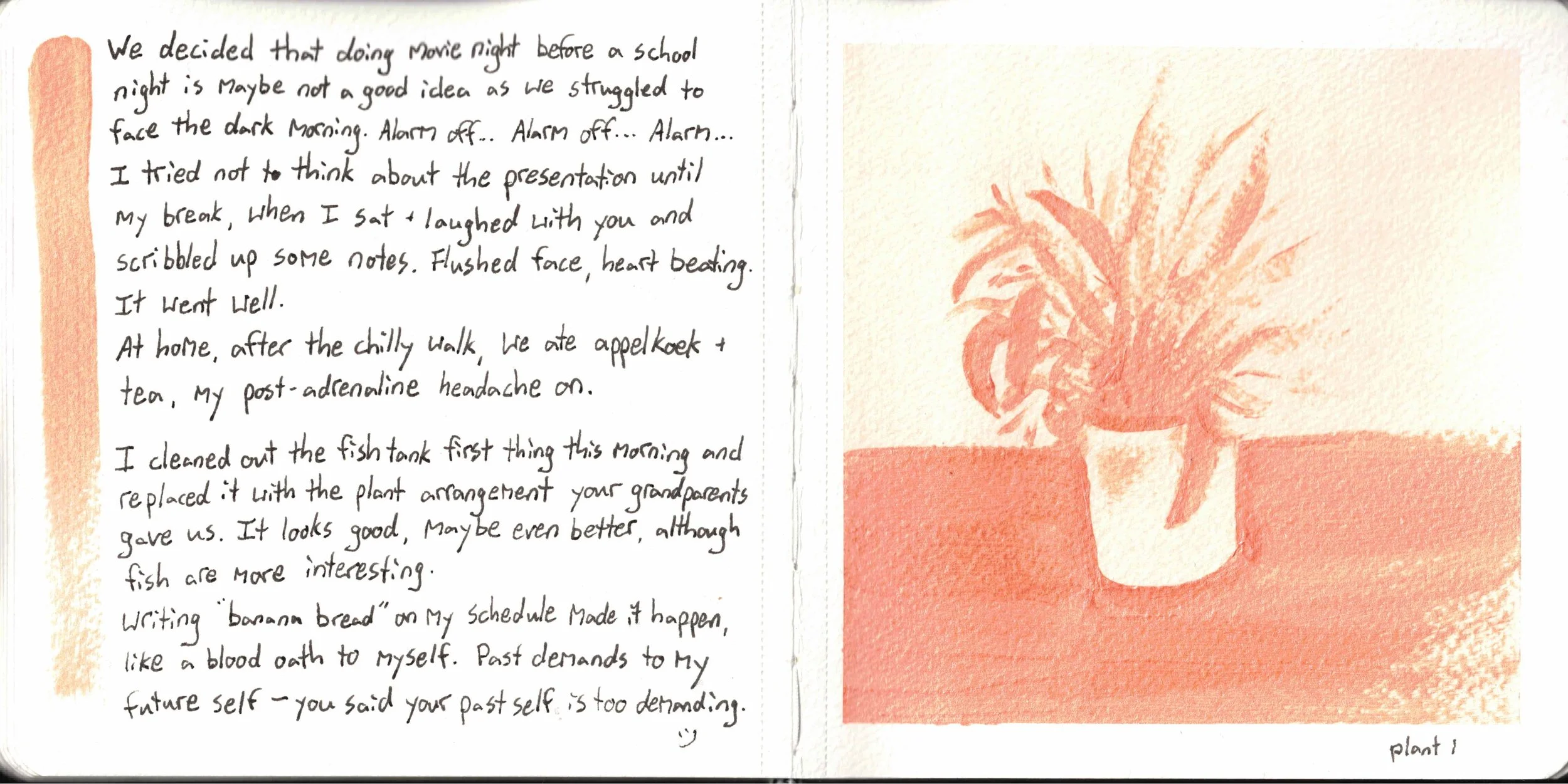 orange plant