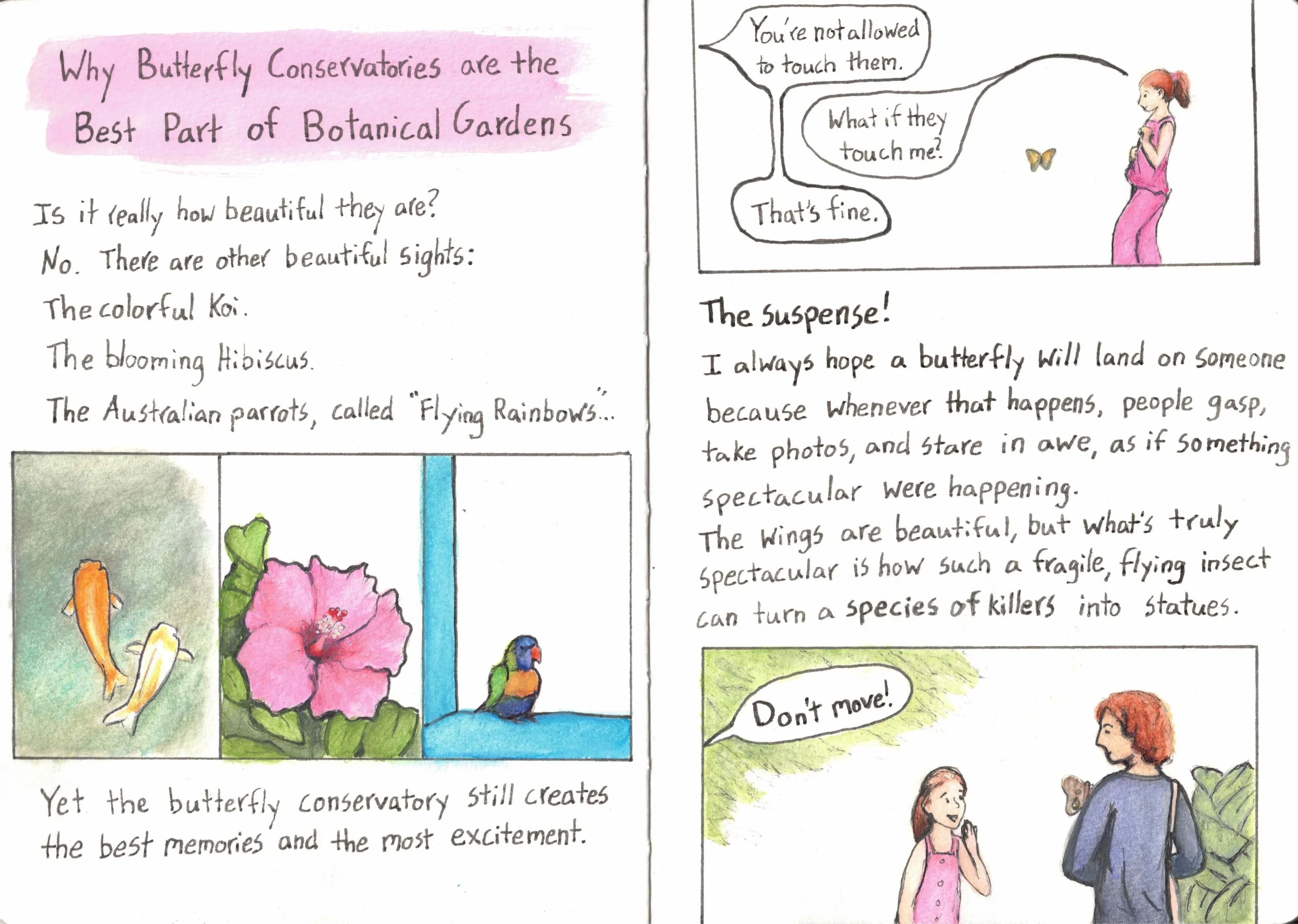 butterfly conservatories